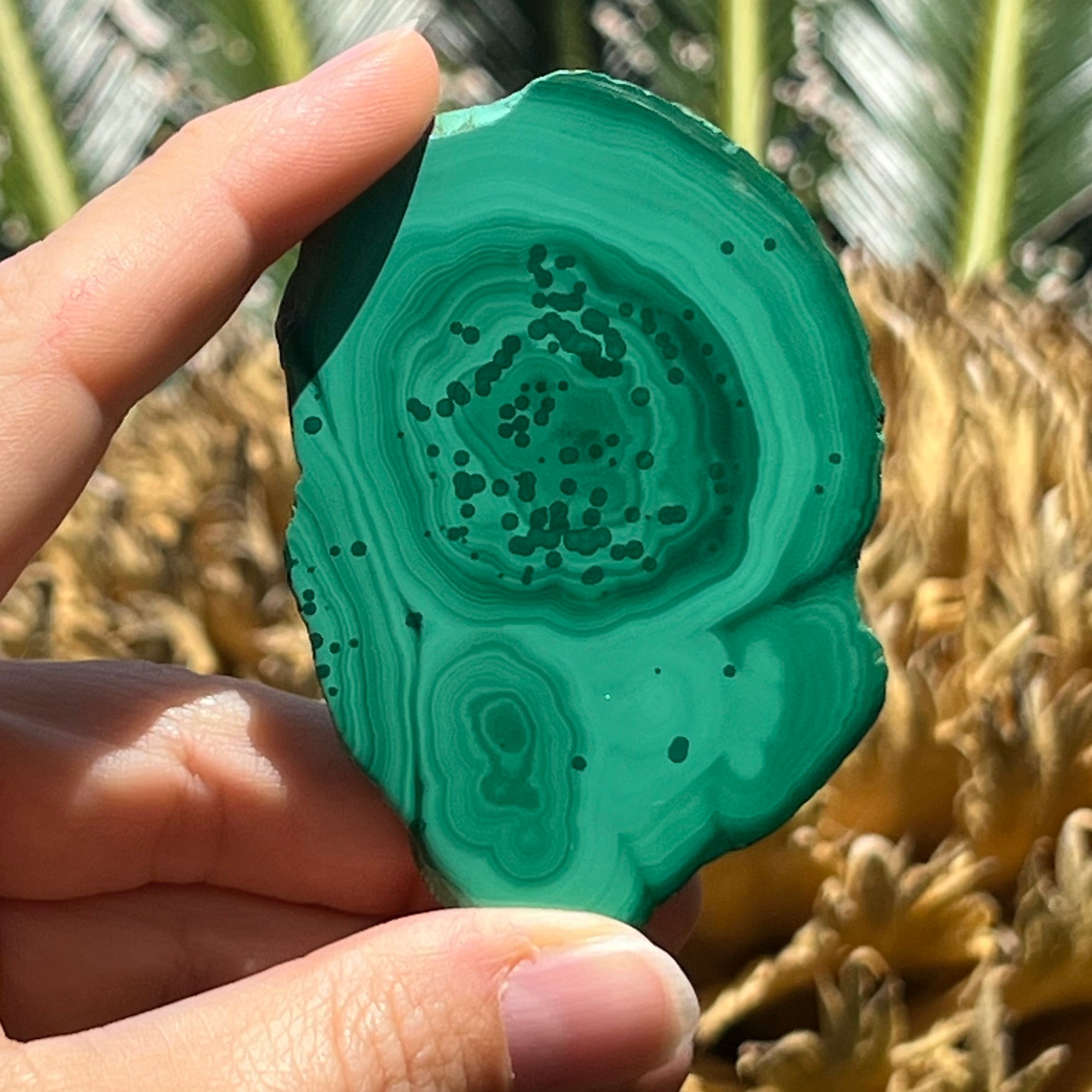 Malachite Slab ~ Transformation