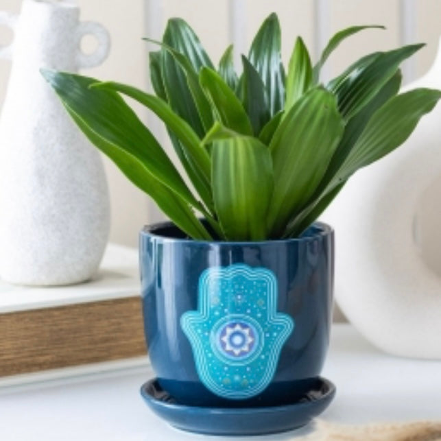 Hamsa Hand Protection ~ Pot Plant