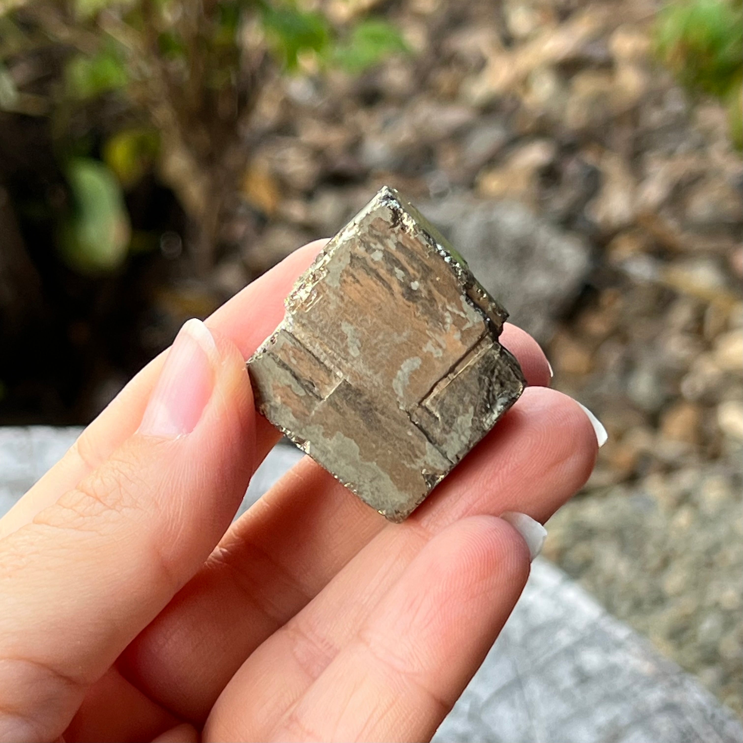 Pyrite Specimen ~ Specialty Crystal