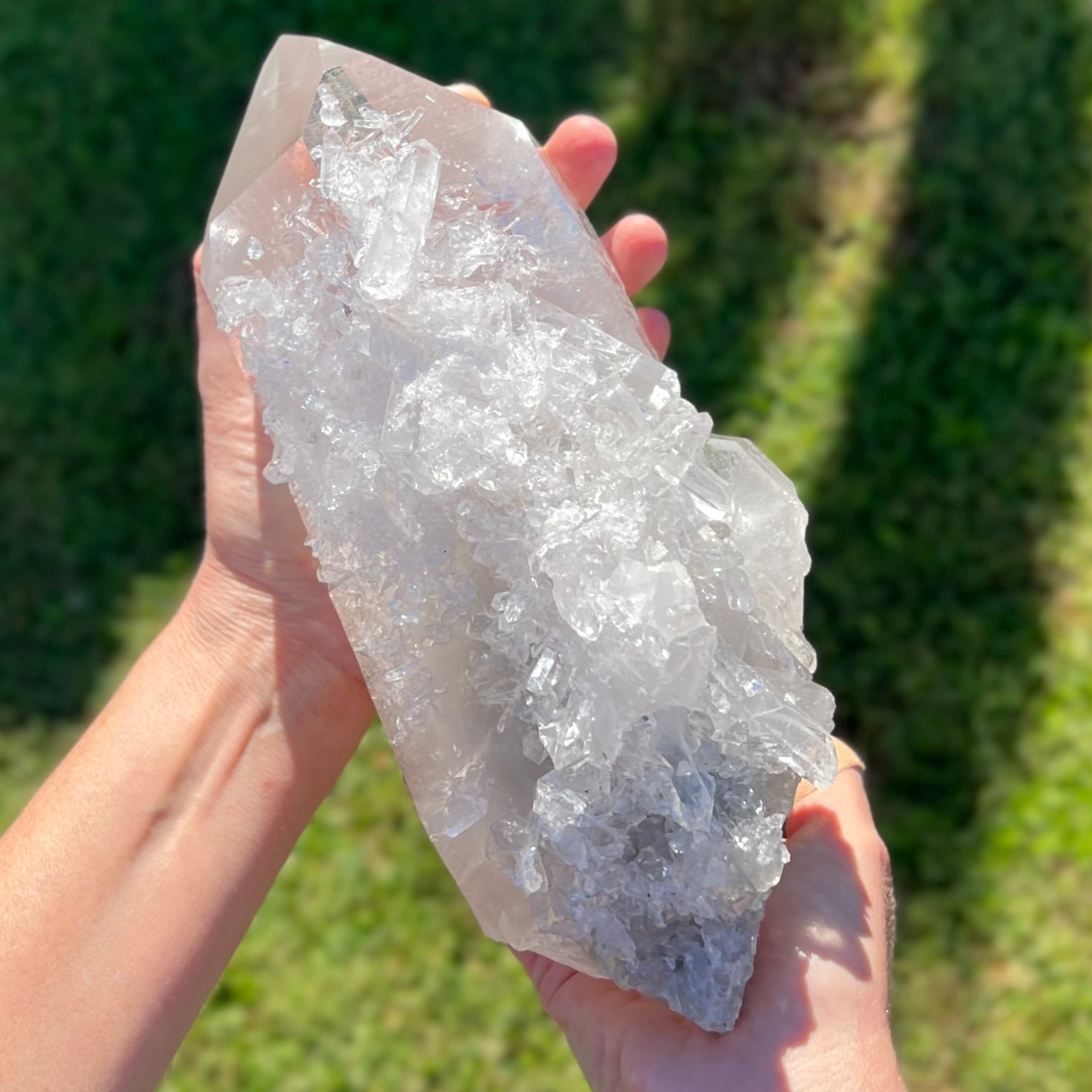 Barnacle Quartz Cluster