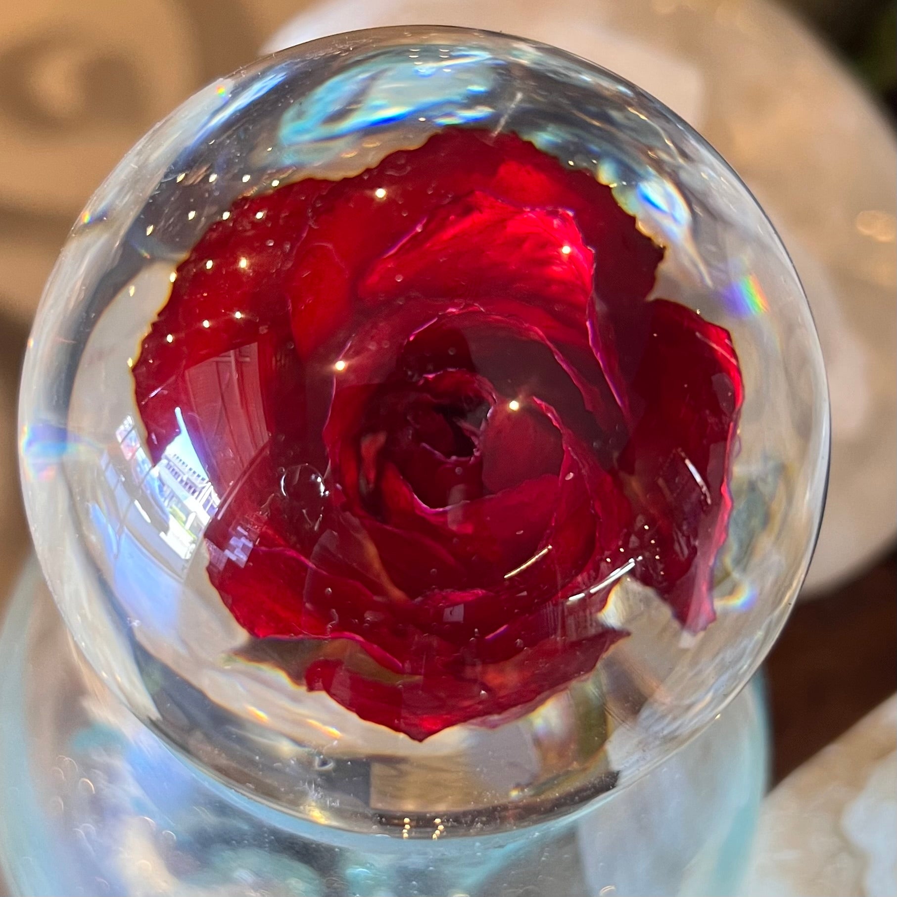 Red Rose Everlasting Flower Sphere