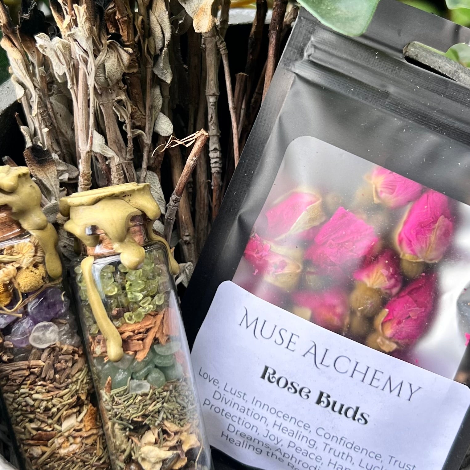 Rose Buds ~ Muse Alchemy Botanicals