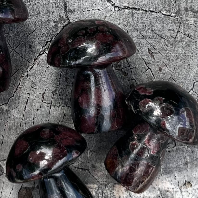 Garnet Mushroom