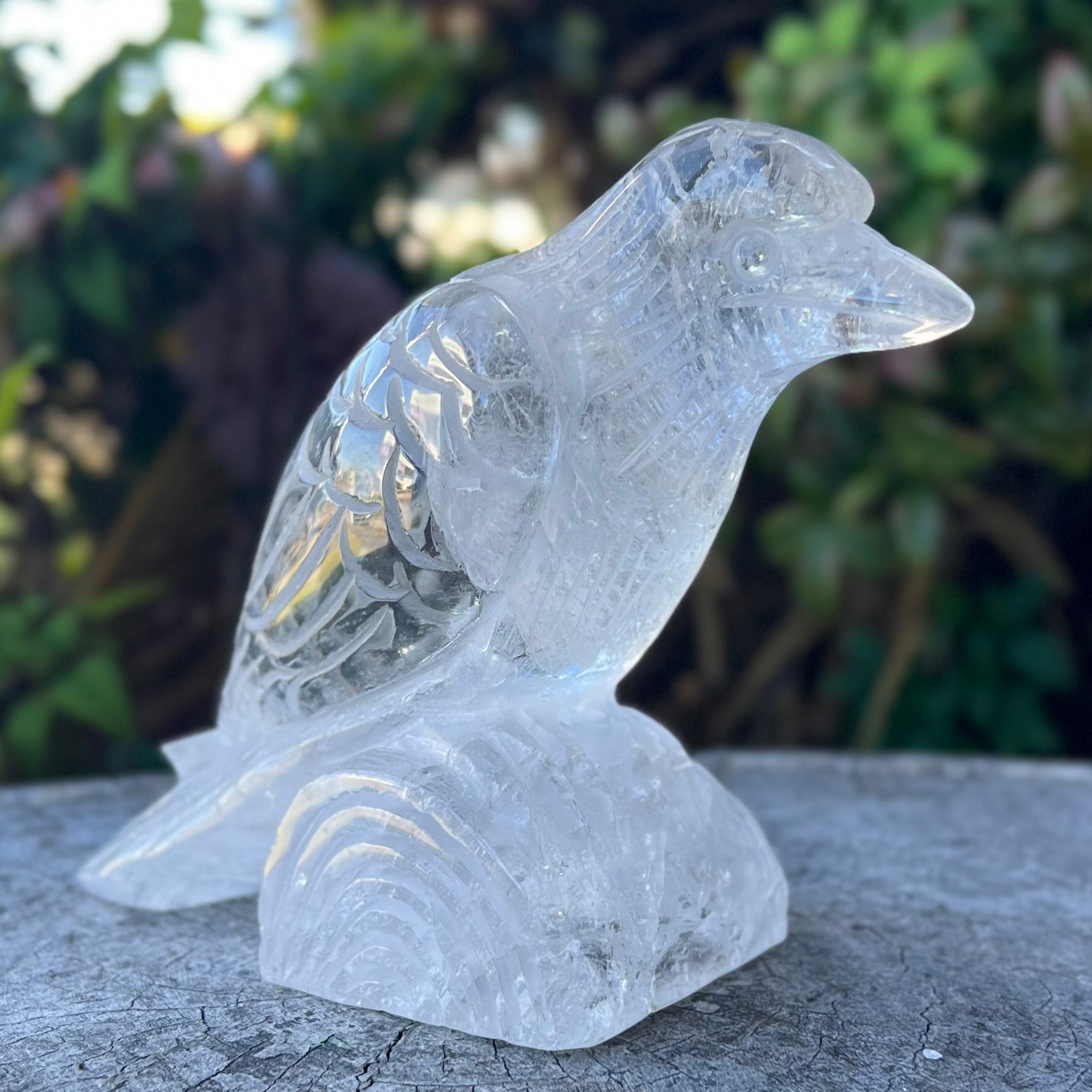 Raven Carving ~ Clear Quartz