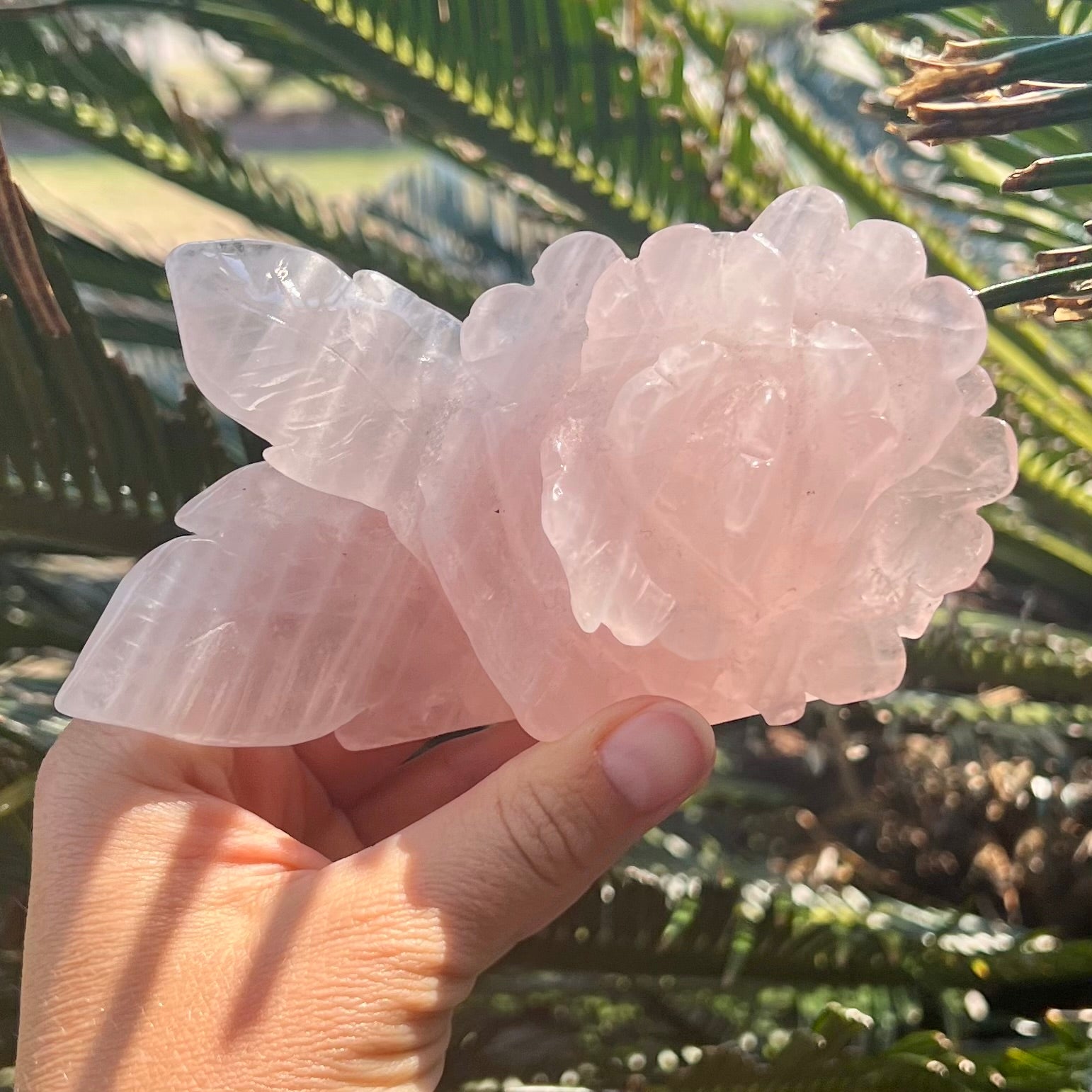 Rose Quartz Rose Carving - Medium