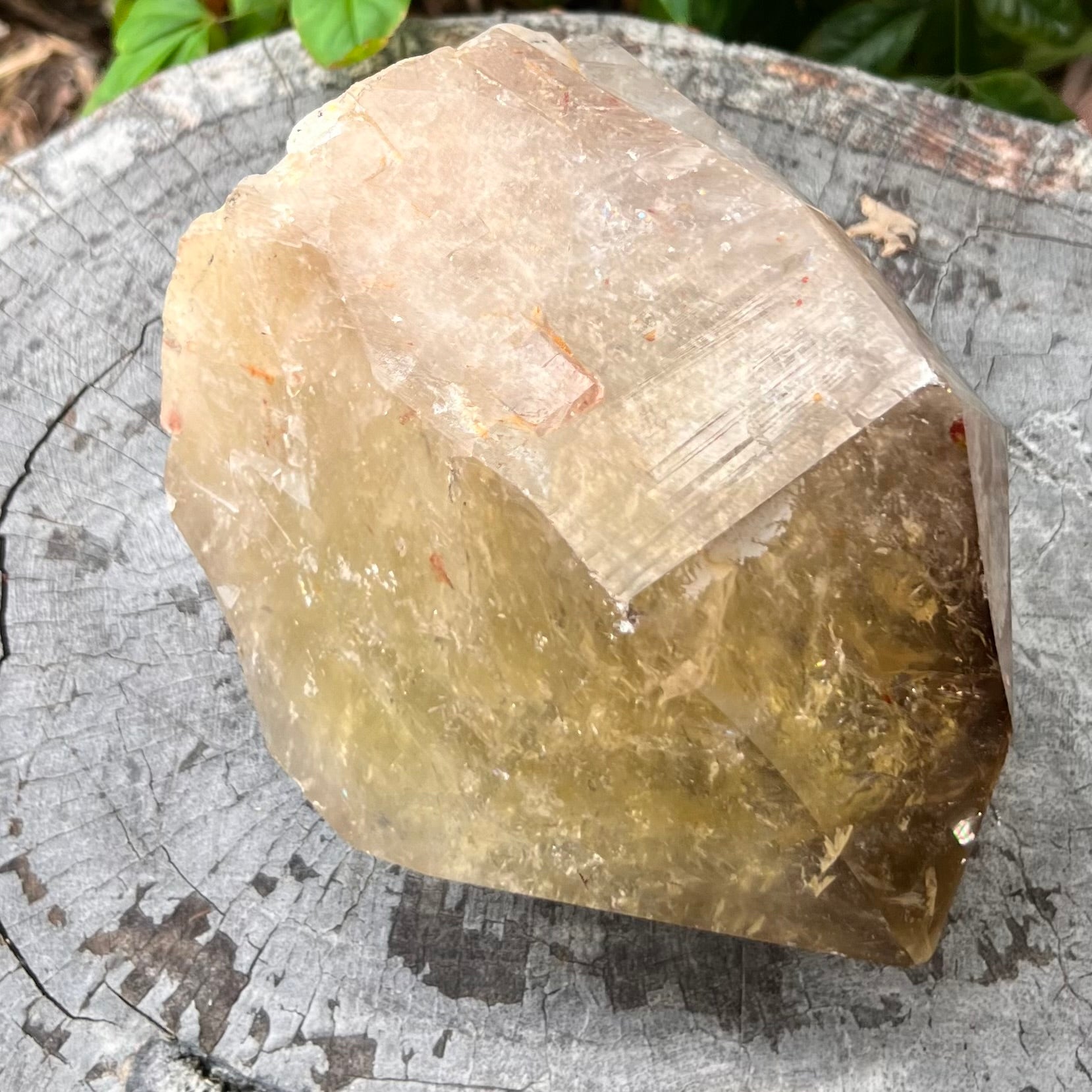 Citrine Semi Raw Point