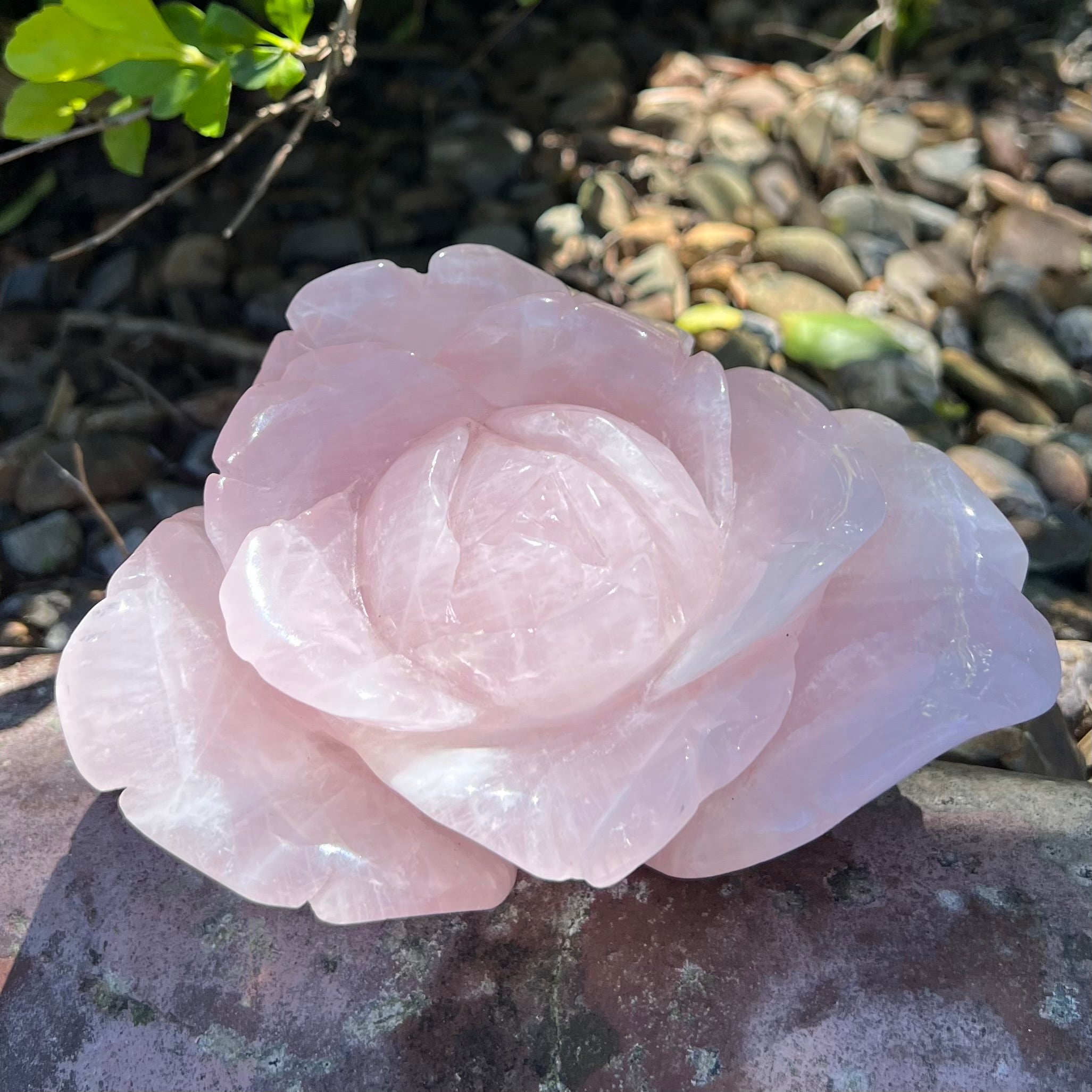 Rose Quartz Rose Carving - Large