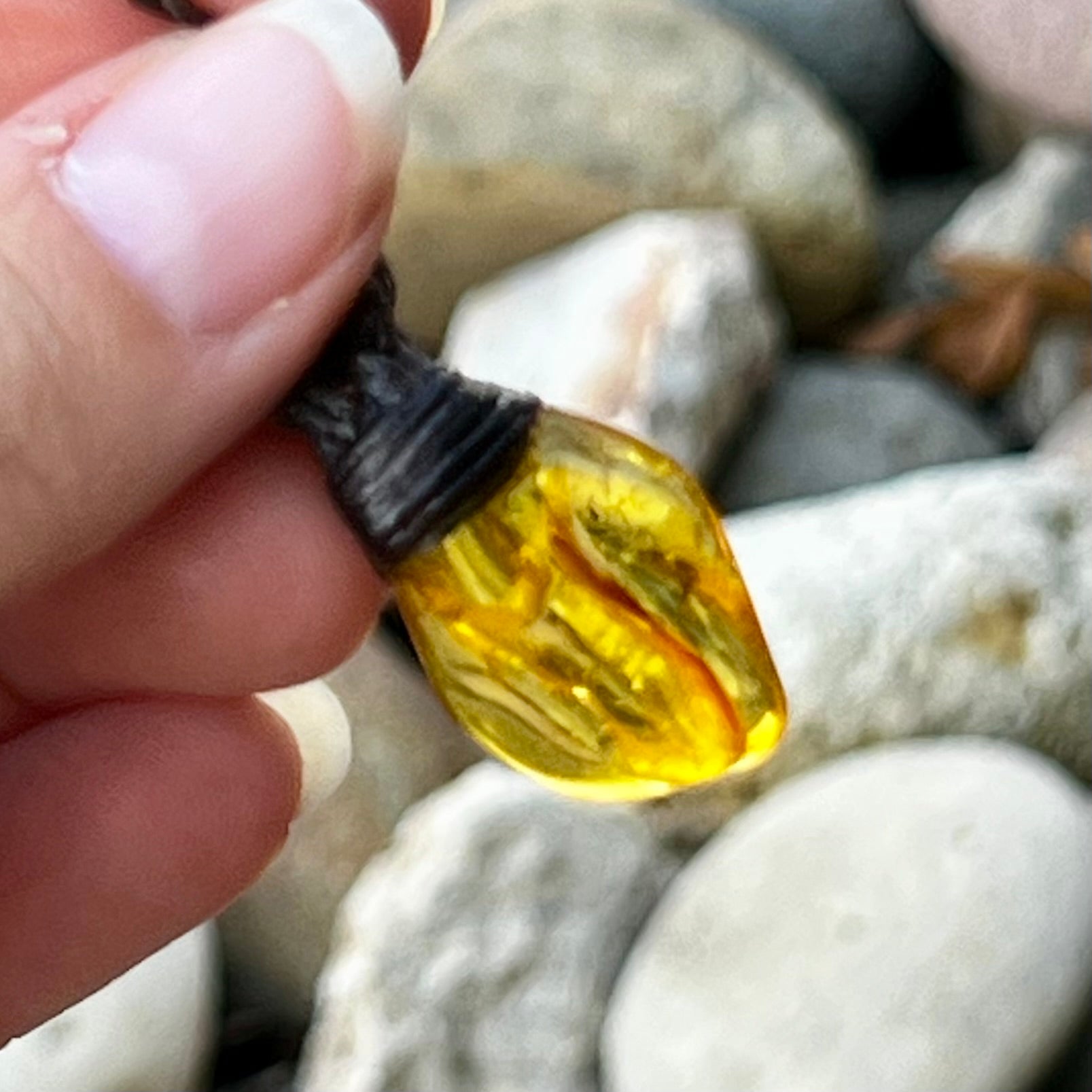 Muse Medicine ~ Baltic Amber~ Talisman