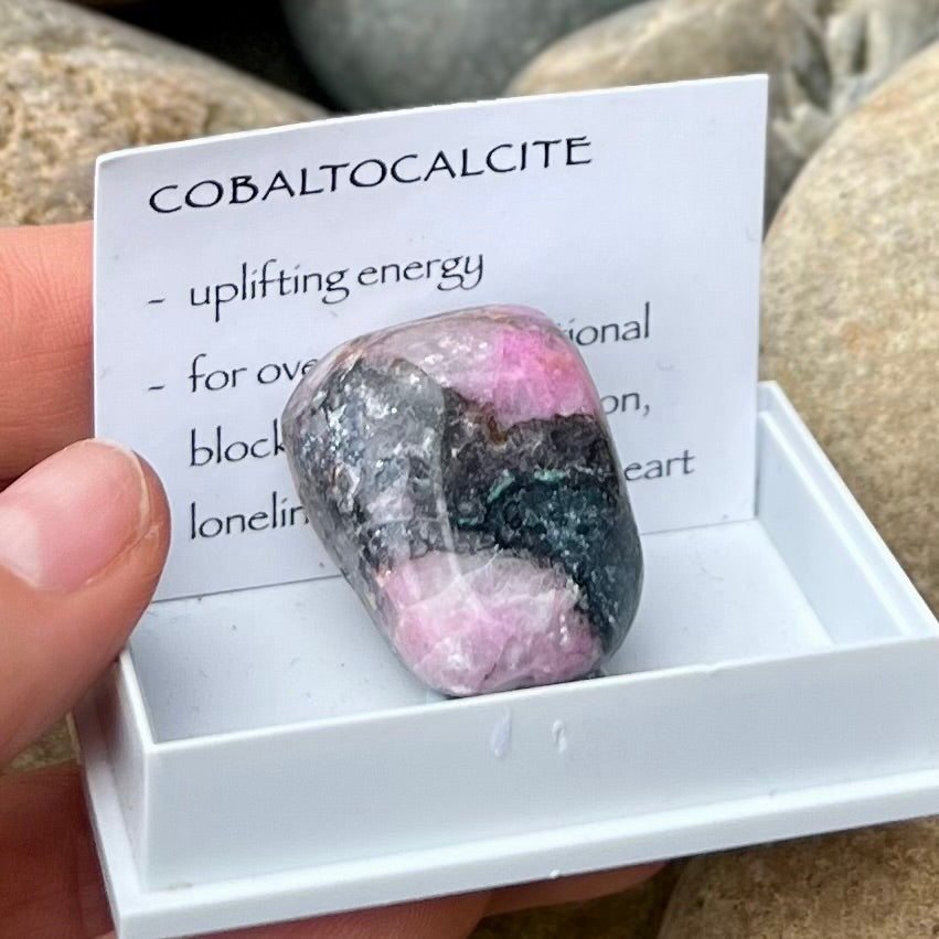 Cobalto Calcite ~ Specialty Boxed Crystal