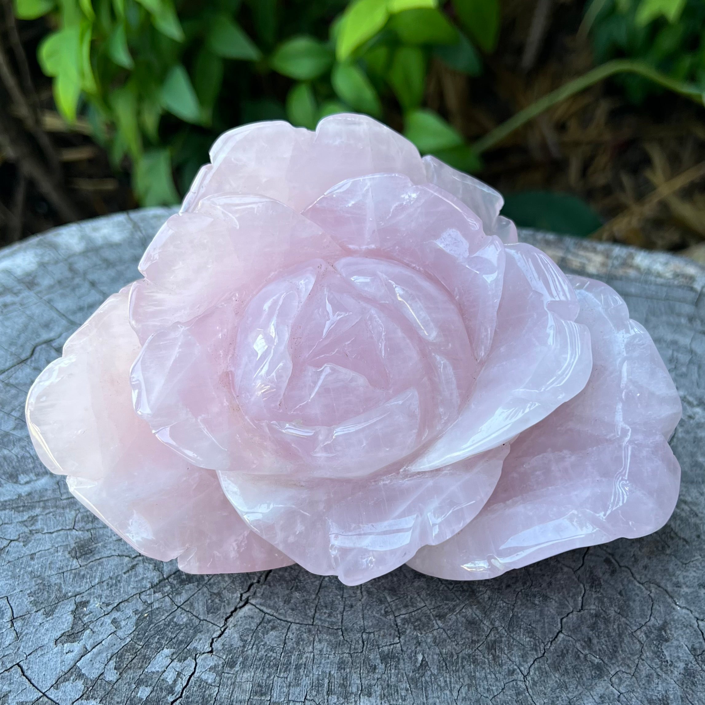 Rose Quartz Rose Carving - Large