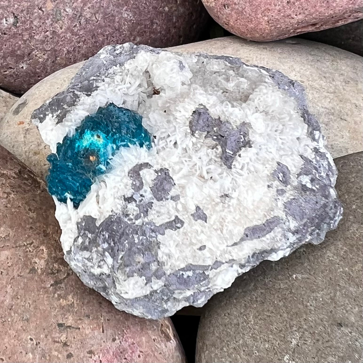 Cavanasite Specimen on Matrix