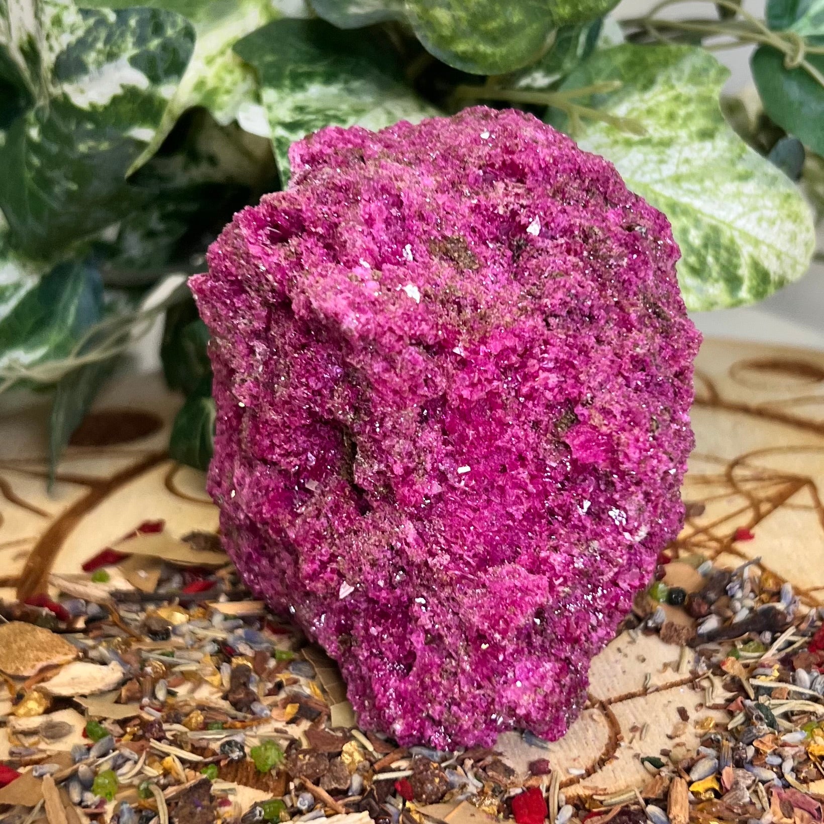 Ruby with Pyrite Specimen