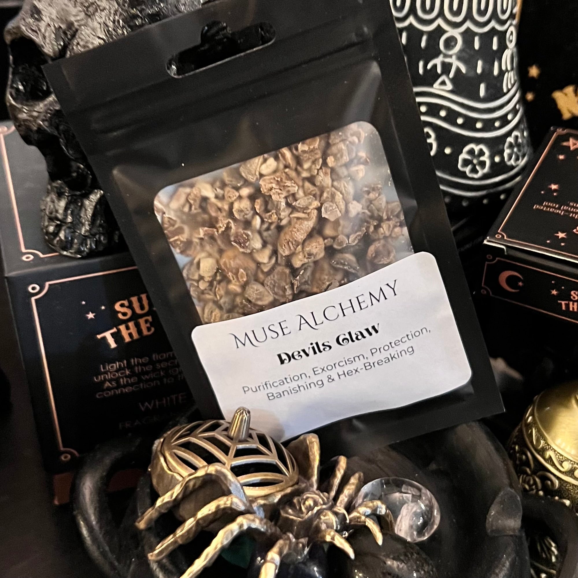 Devils Claw ~ Muse Alchemy Botanicals