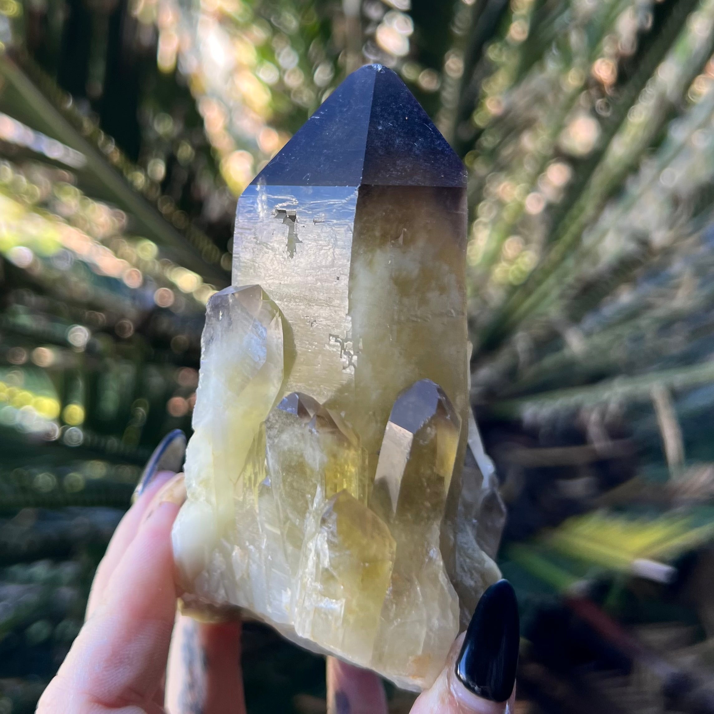 Smoky Citrine ~ Raw Point with Clusters