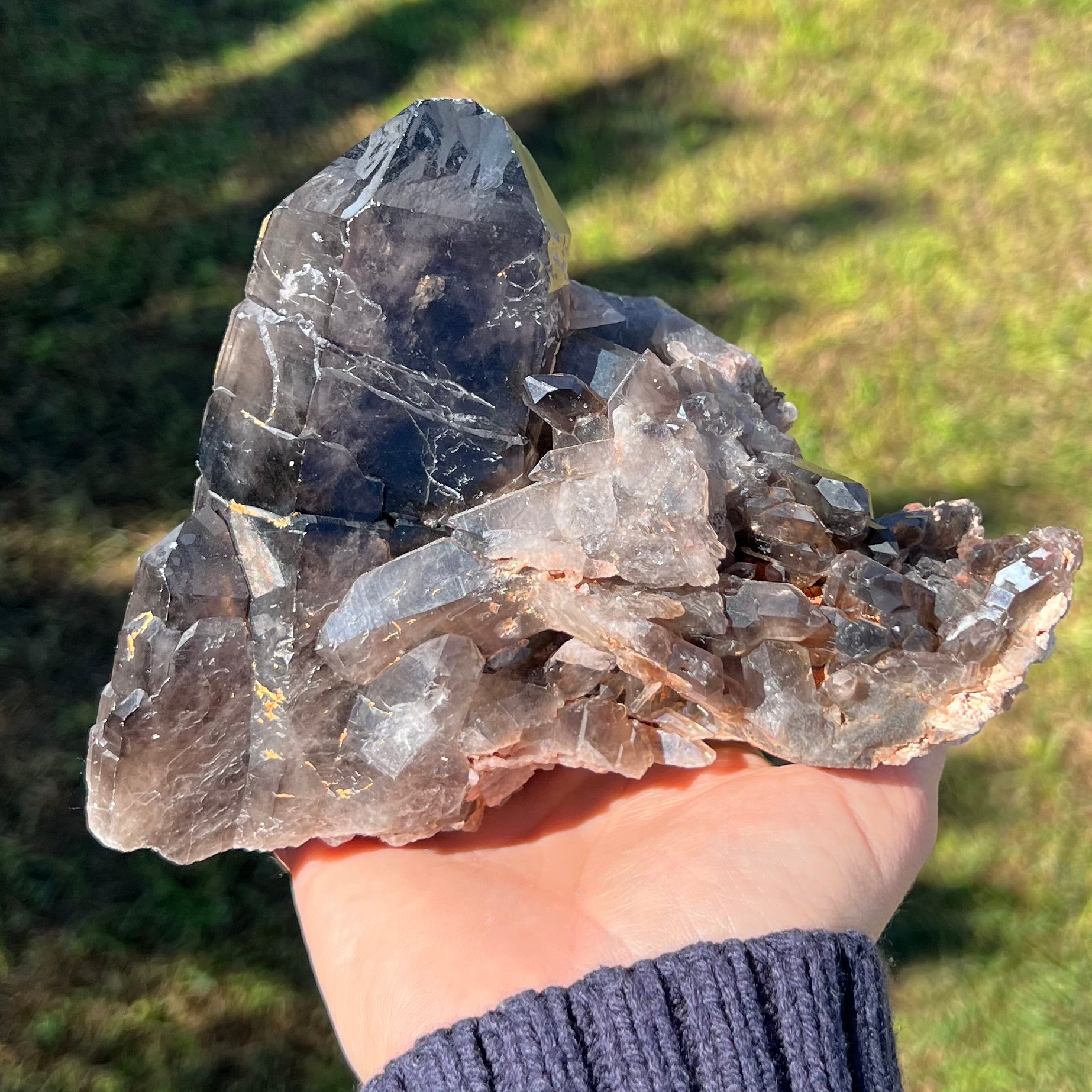 Specular Smokey Quartz Cluster