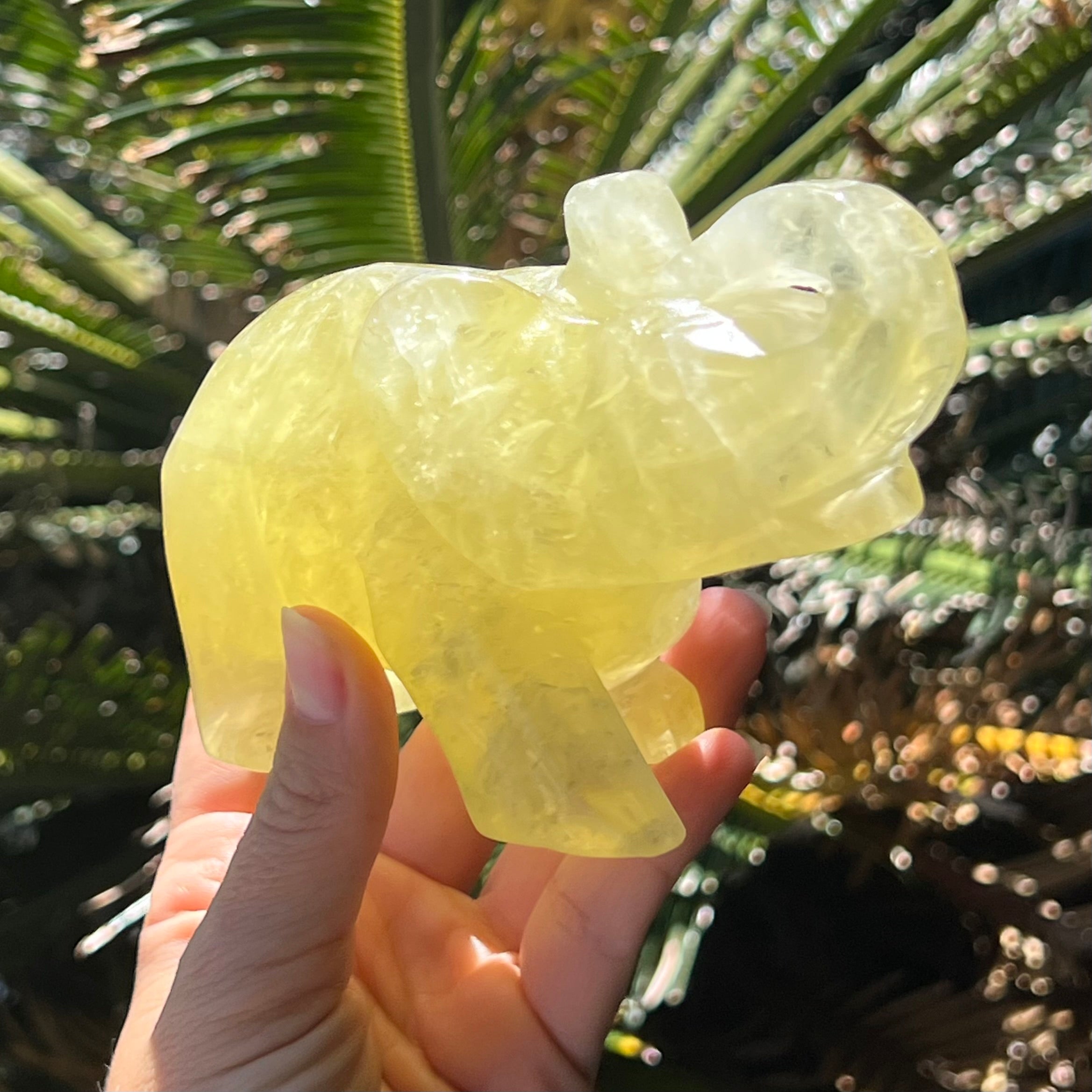 Lucky Elephant ~ Citrine