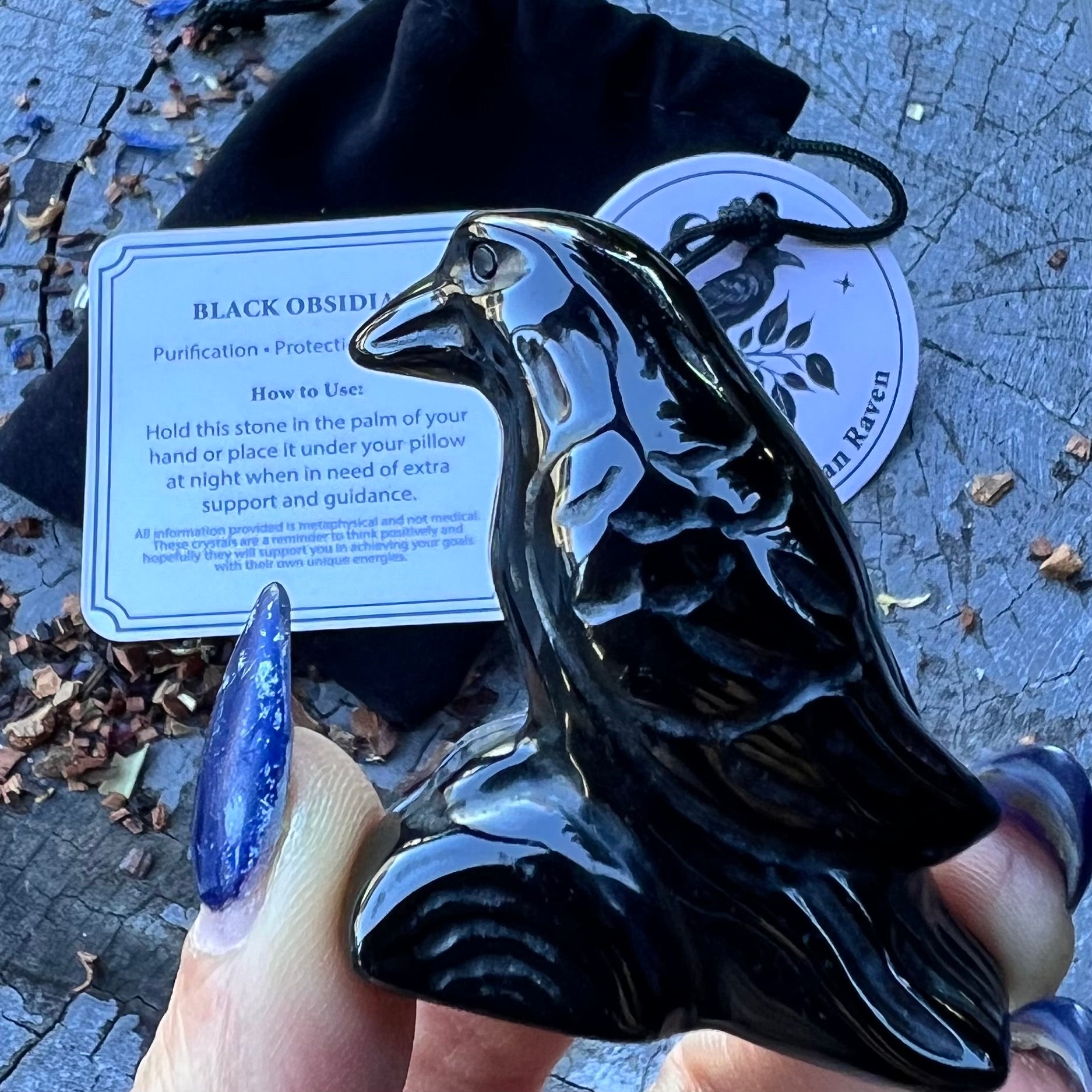 Black Obsidian Raven Carving in Bag