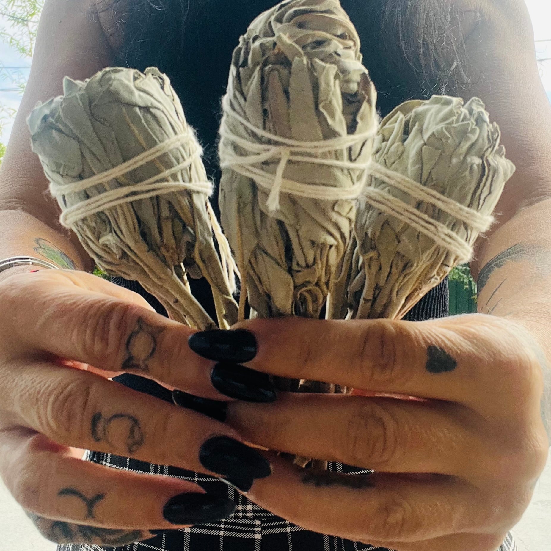 White Sage Smudge ~ Torch