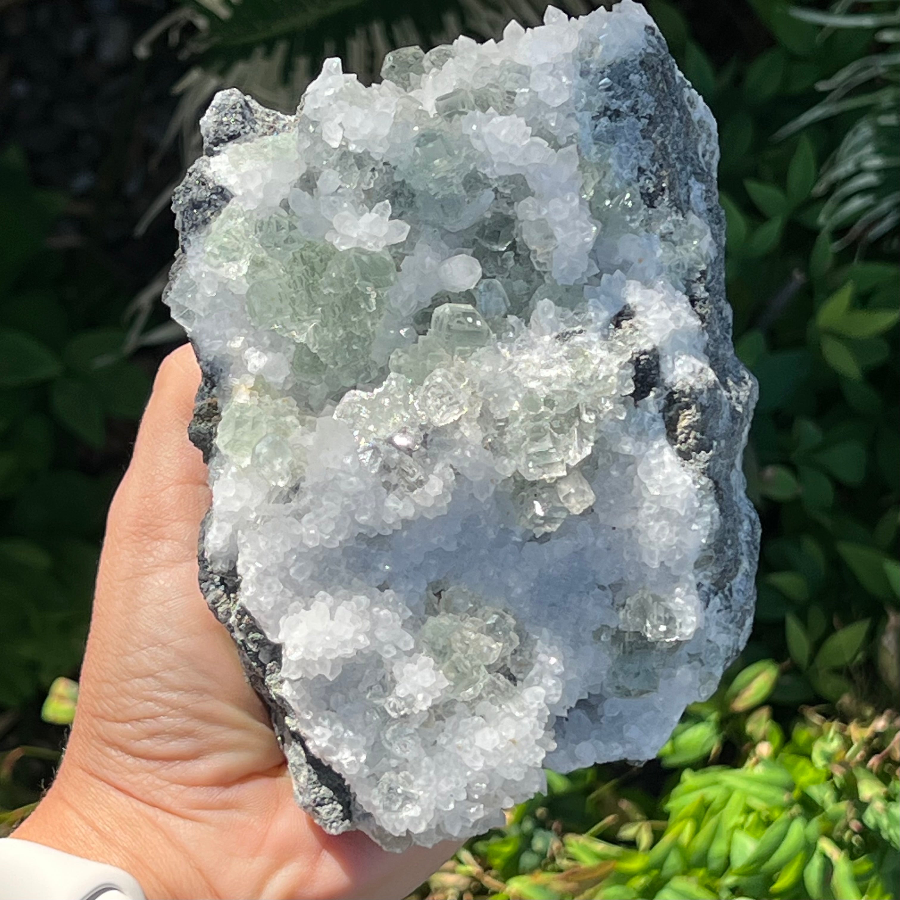Apophylite Cluster