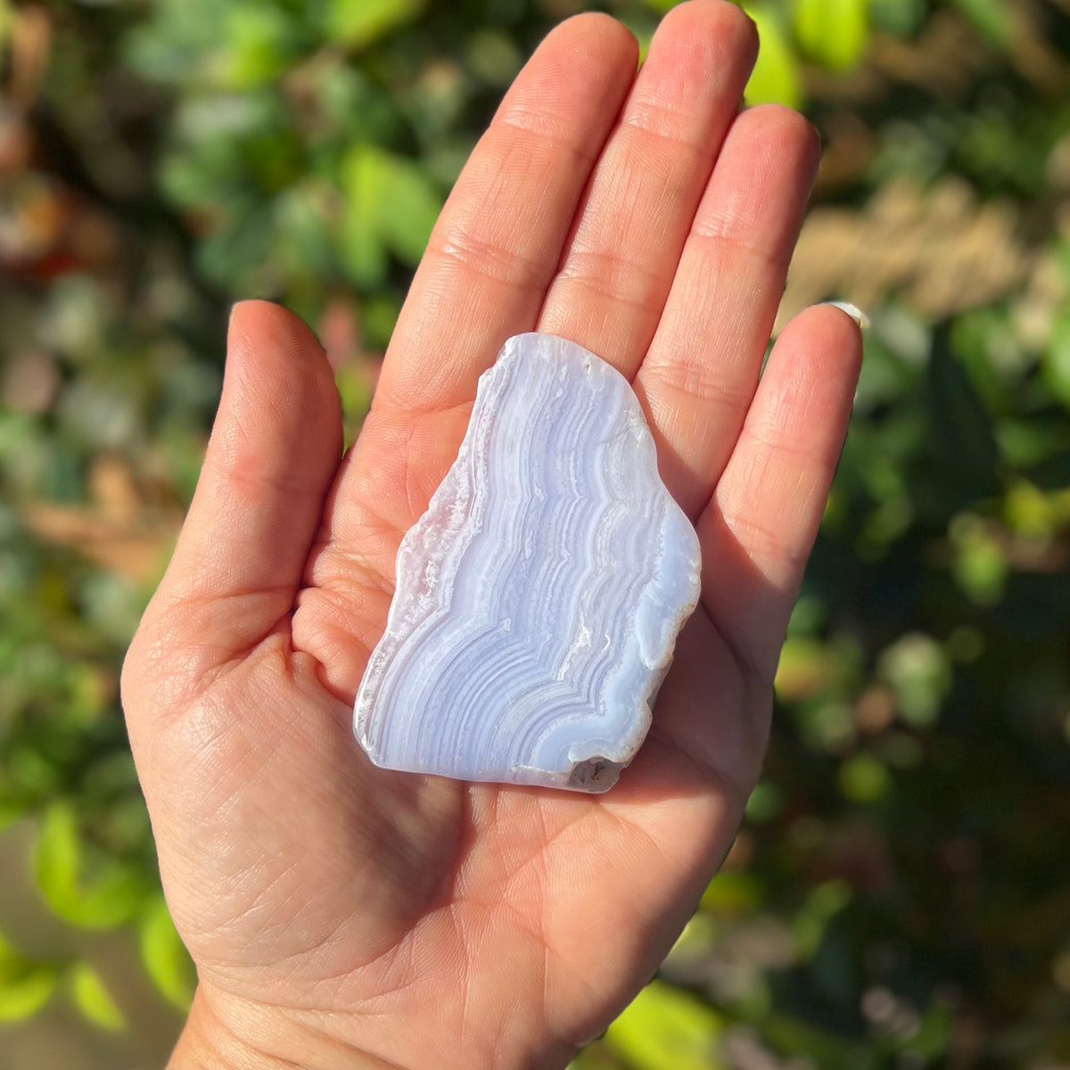 Blue Lace Agate ~ Specialty Boxed Crystal