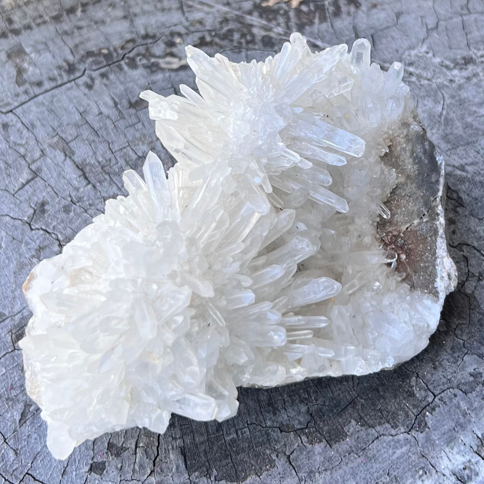 Chrysanthemum Needle Quartz ~ Cluster