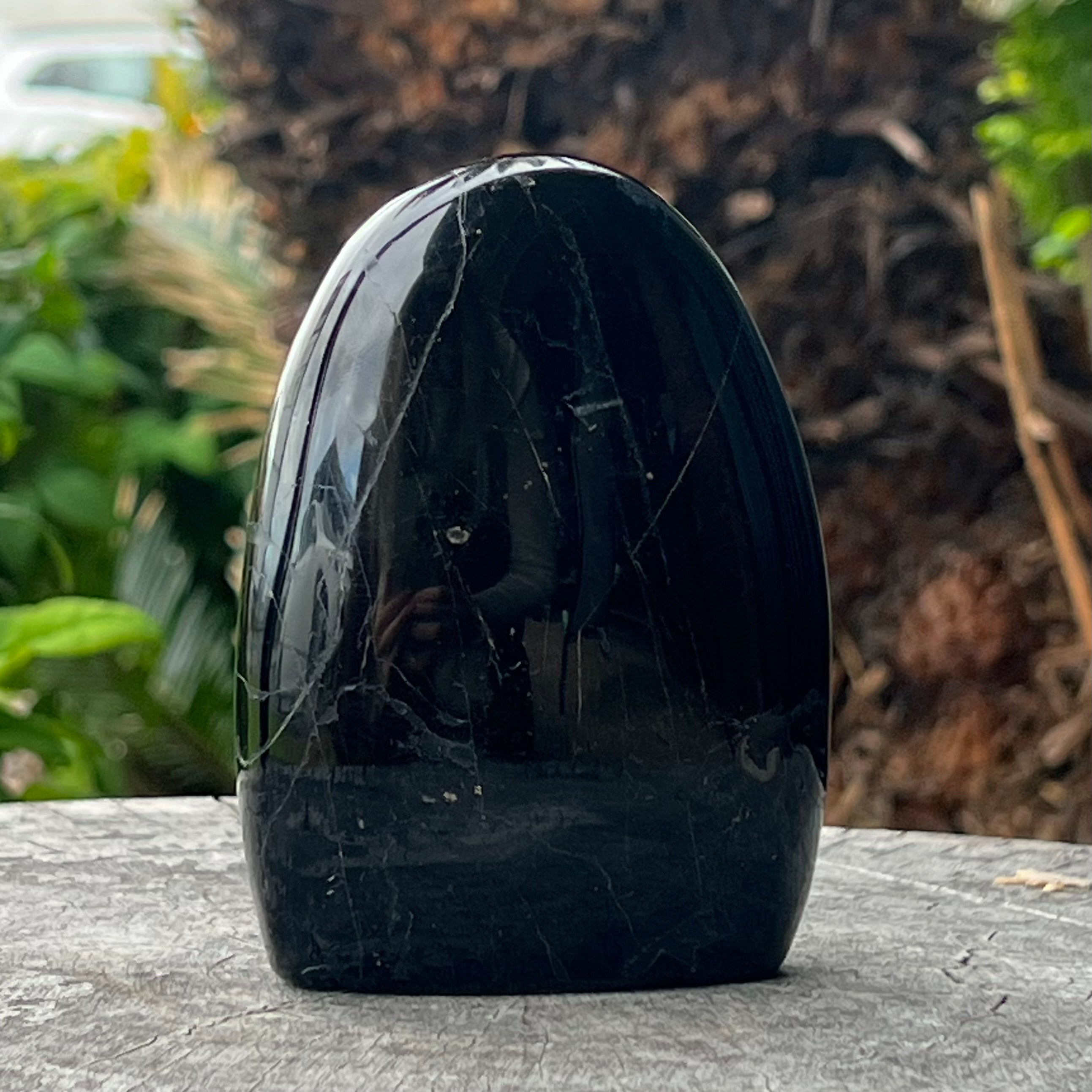 Black Tourmaline Freeform ~ 1