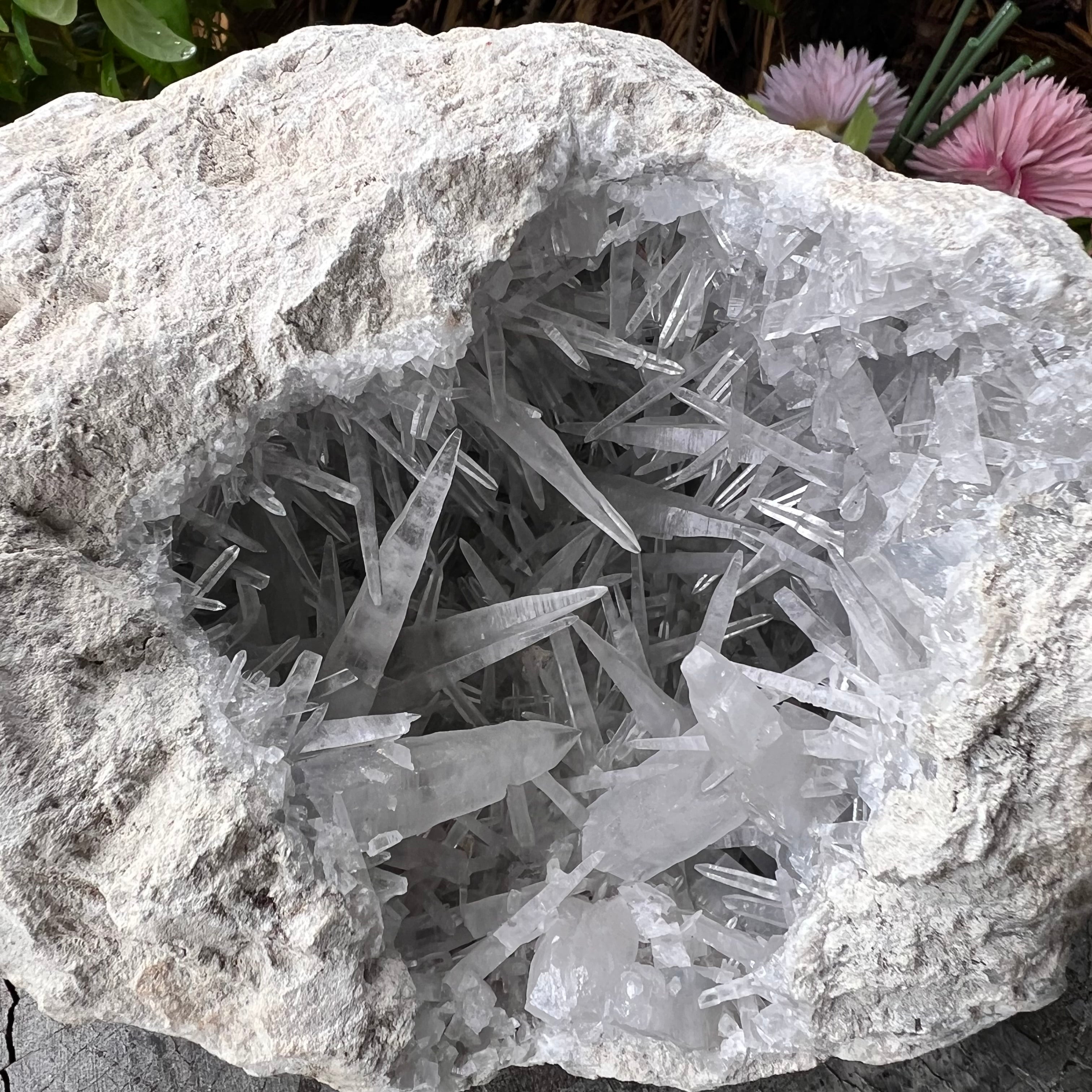 Celestite Dog Tooth Cluster Specimen