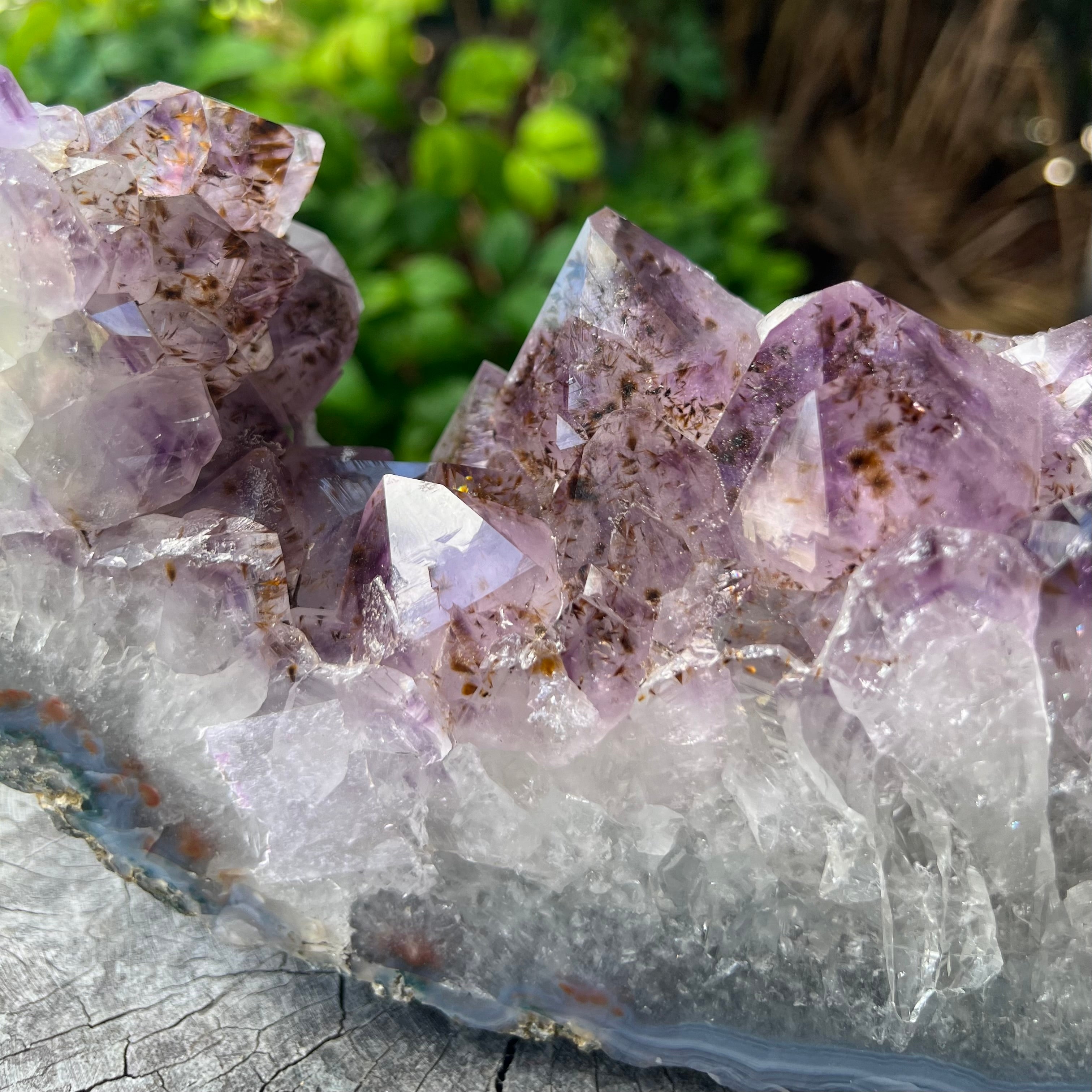 Amethyst Cluster