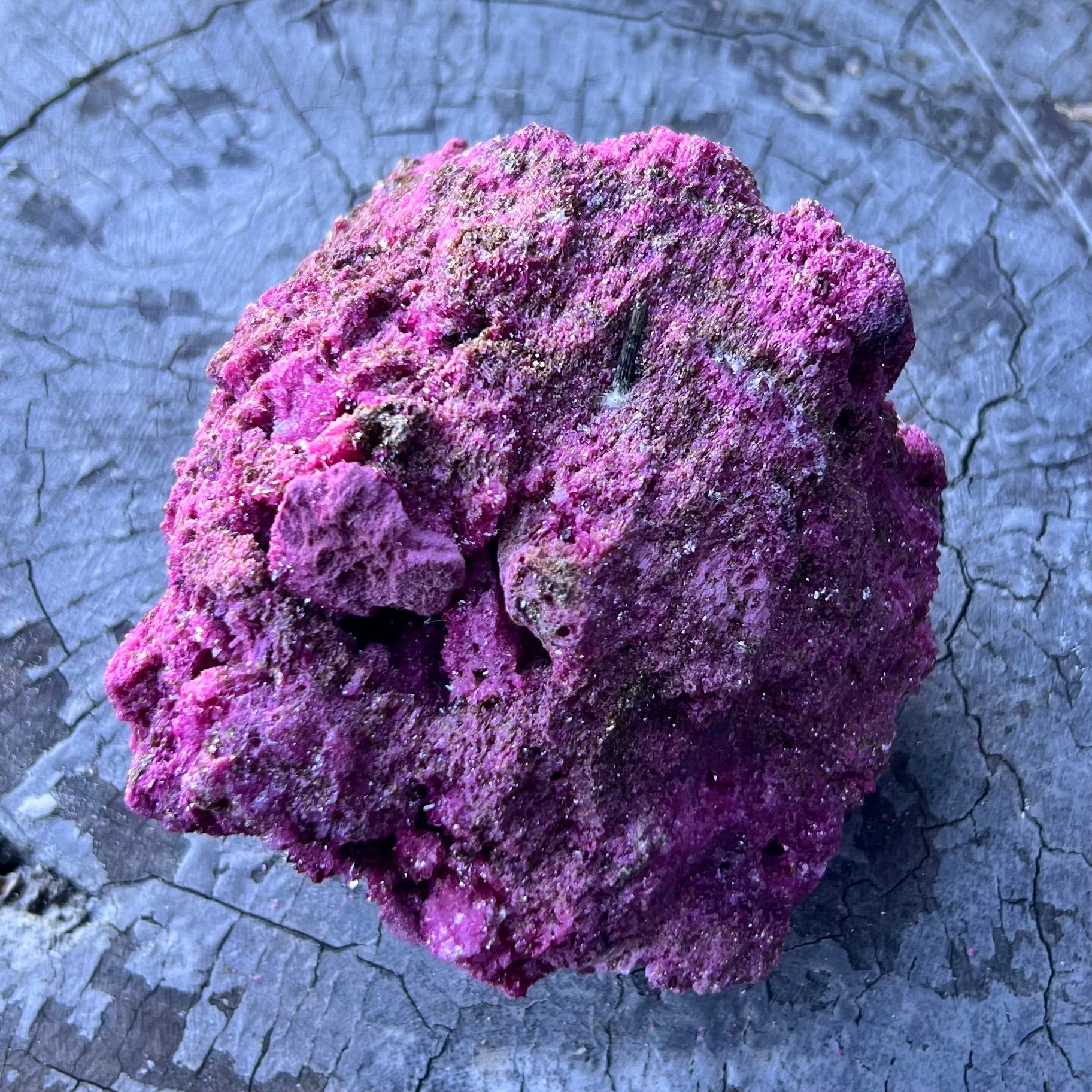 Glorious Ruby with Pyrite Specimen