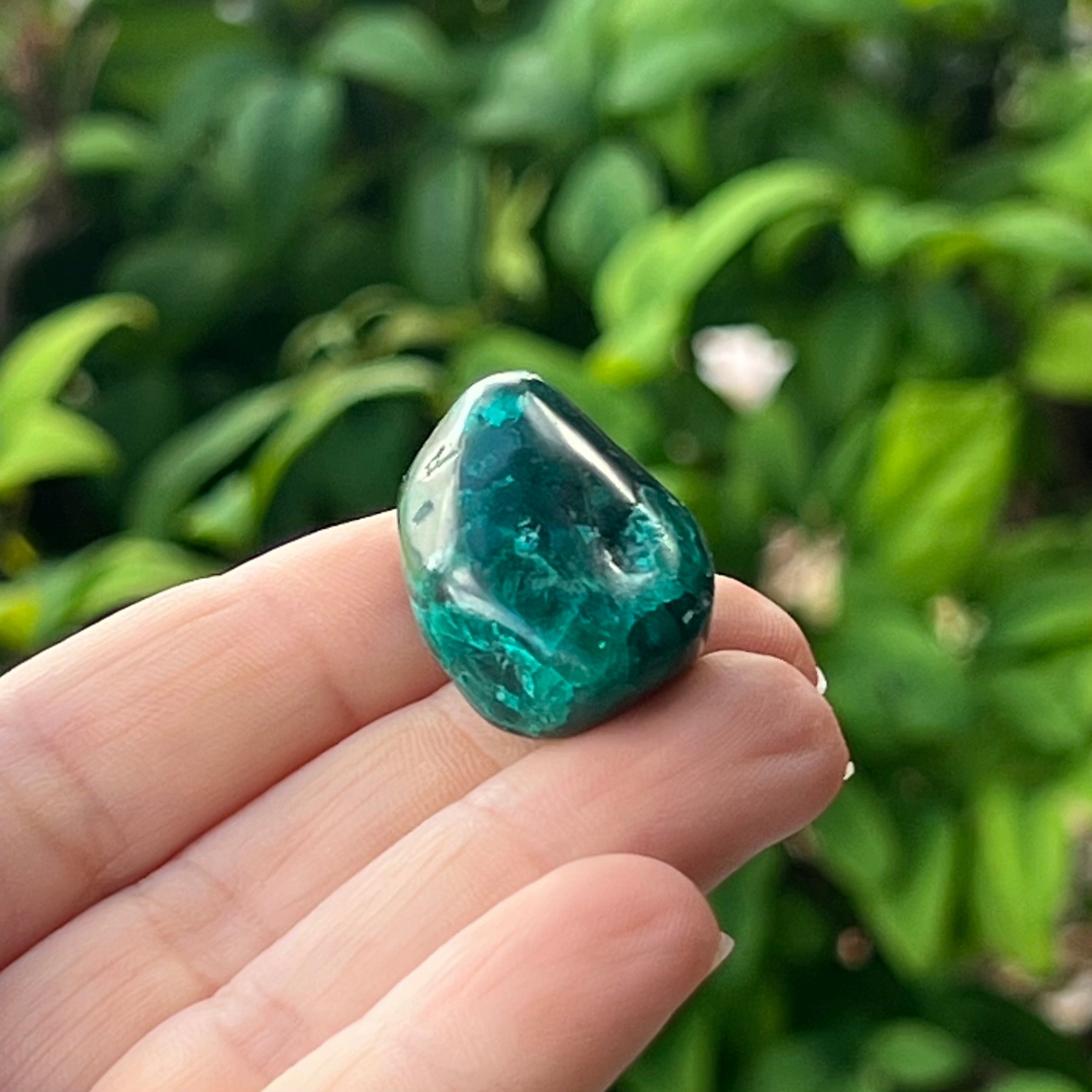 Dioptase ~ Specialty Boxed Crystal