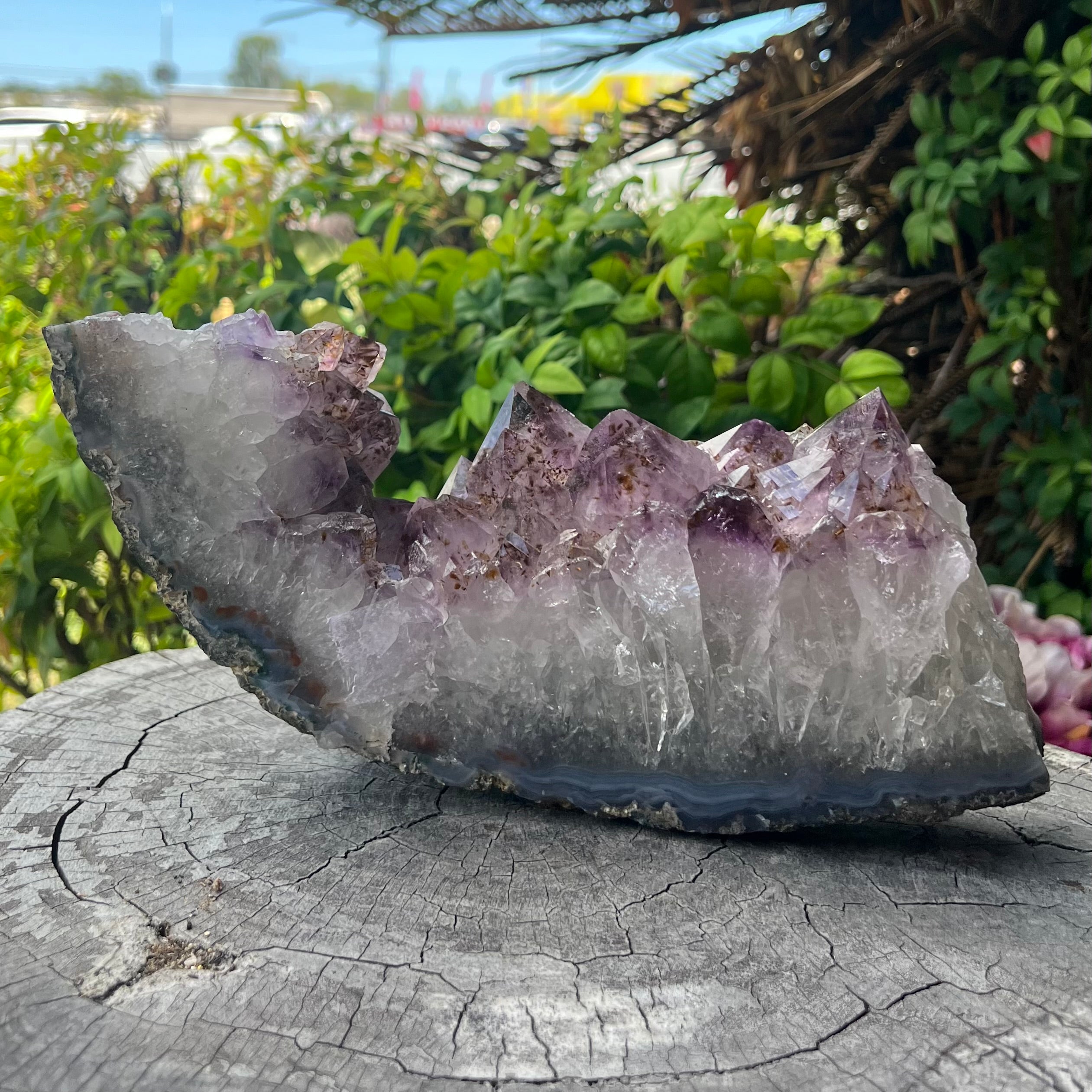 Amethyst Cluster