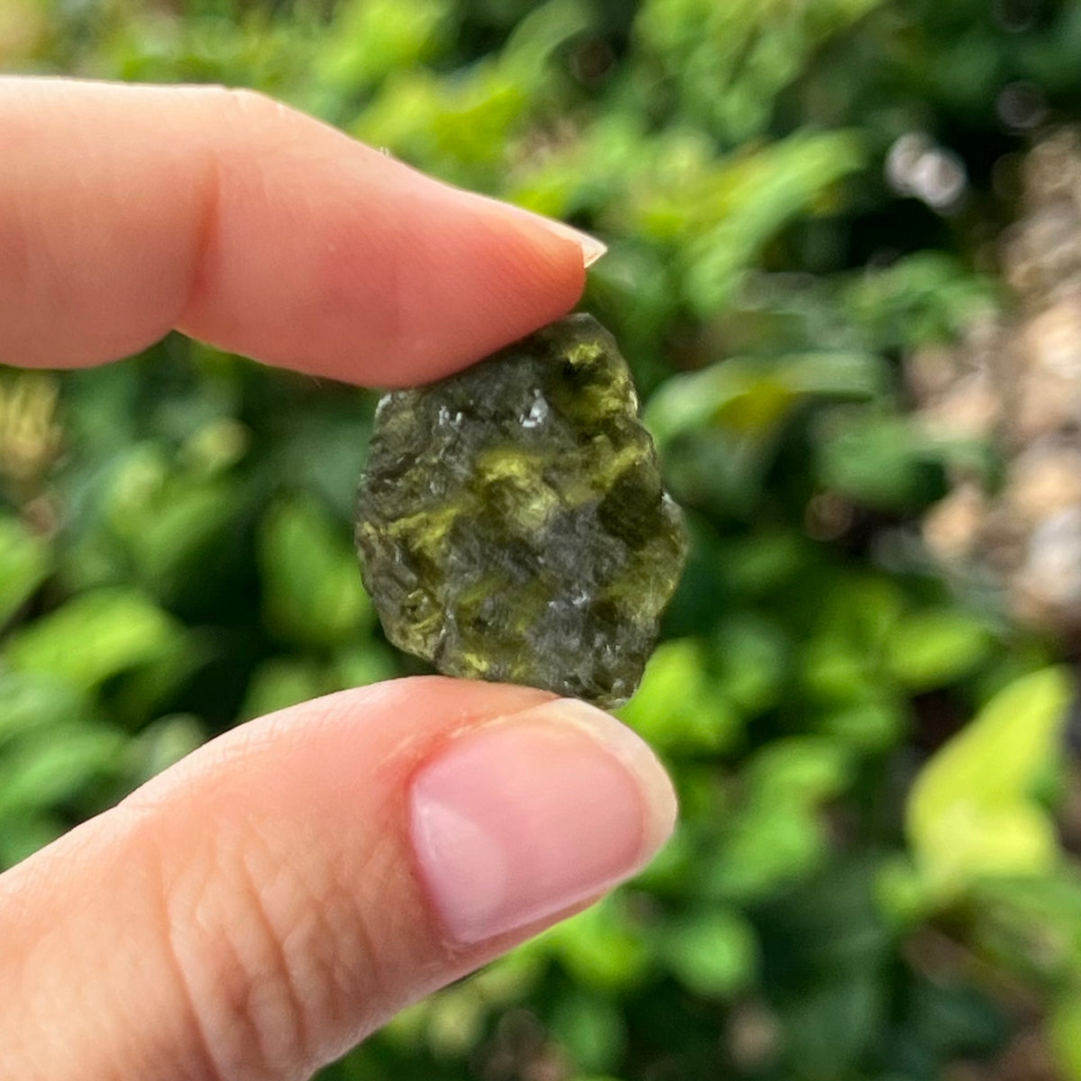 Raw Moldavite Specimen ~ RARE