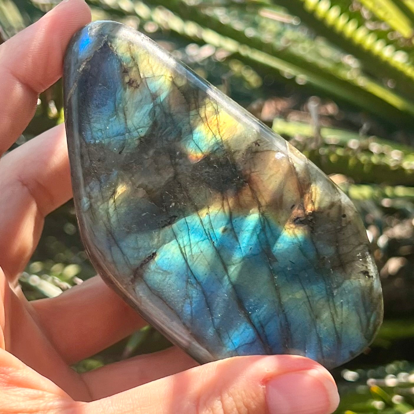 Labradorite Freeform ~ 2