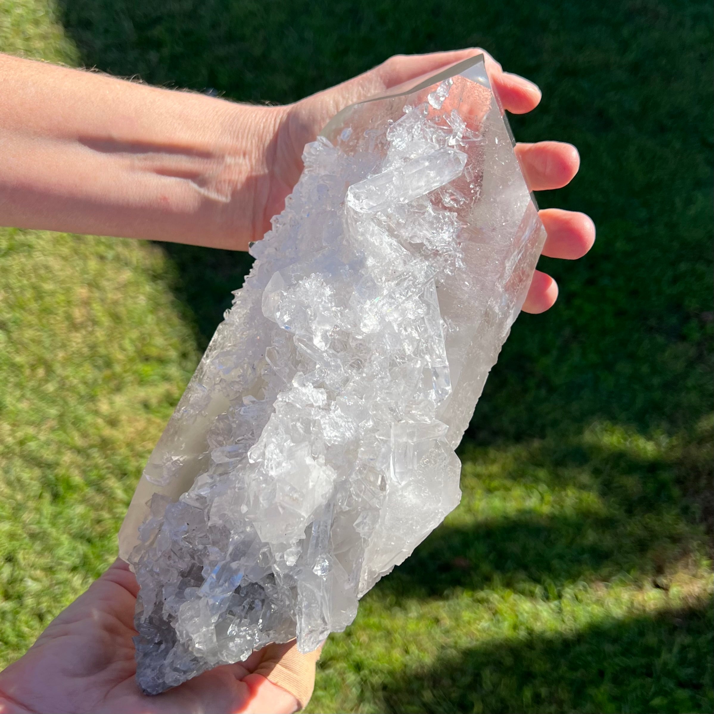 Barnacle Quartz Cluster
