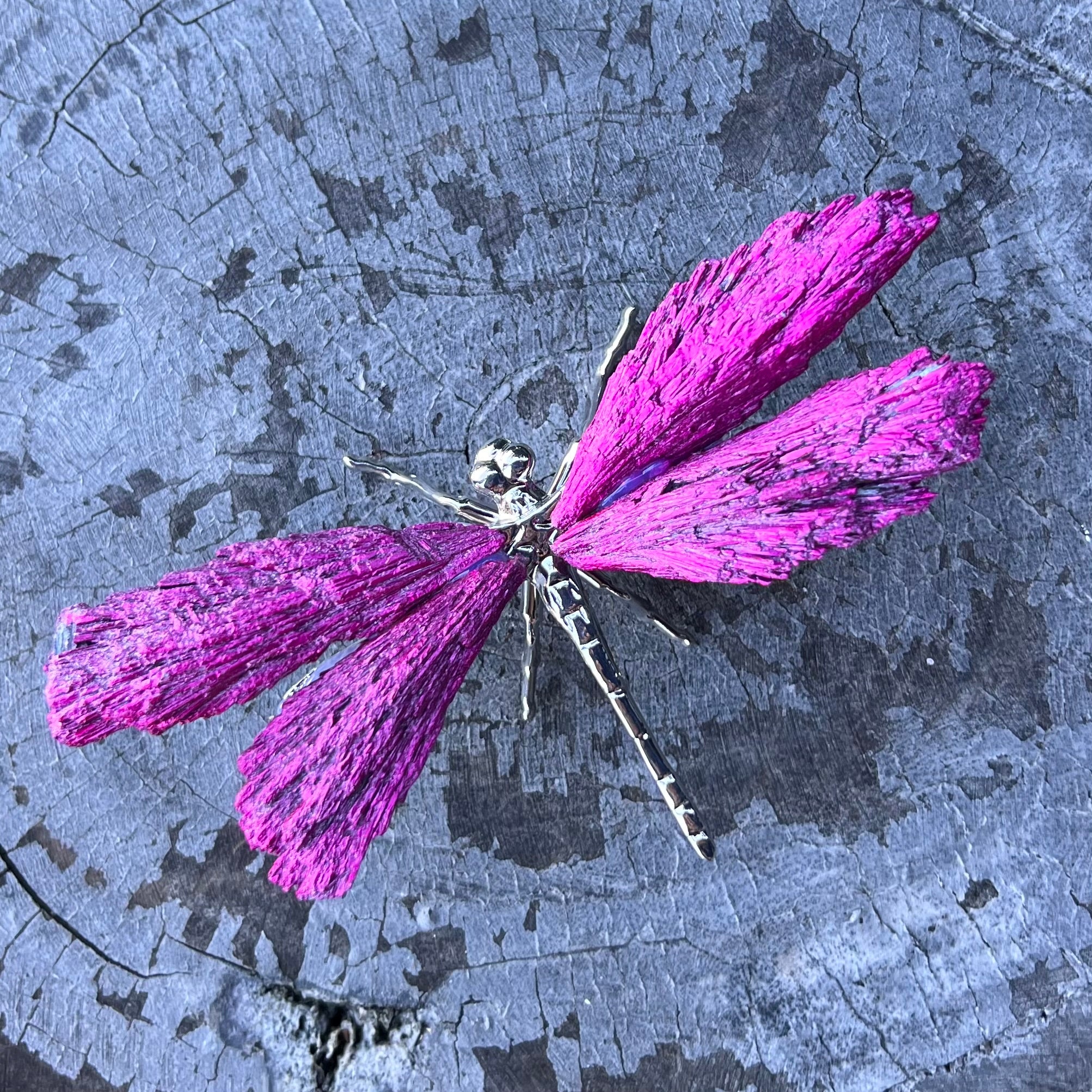 Dragon Fly ~ Kyanite Electroplate ~ Pink