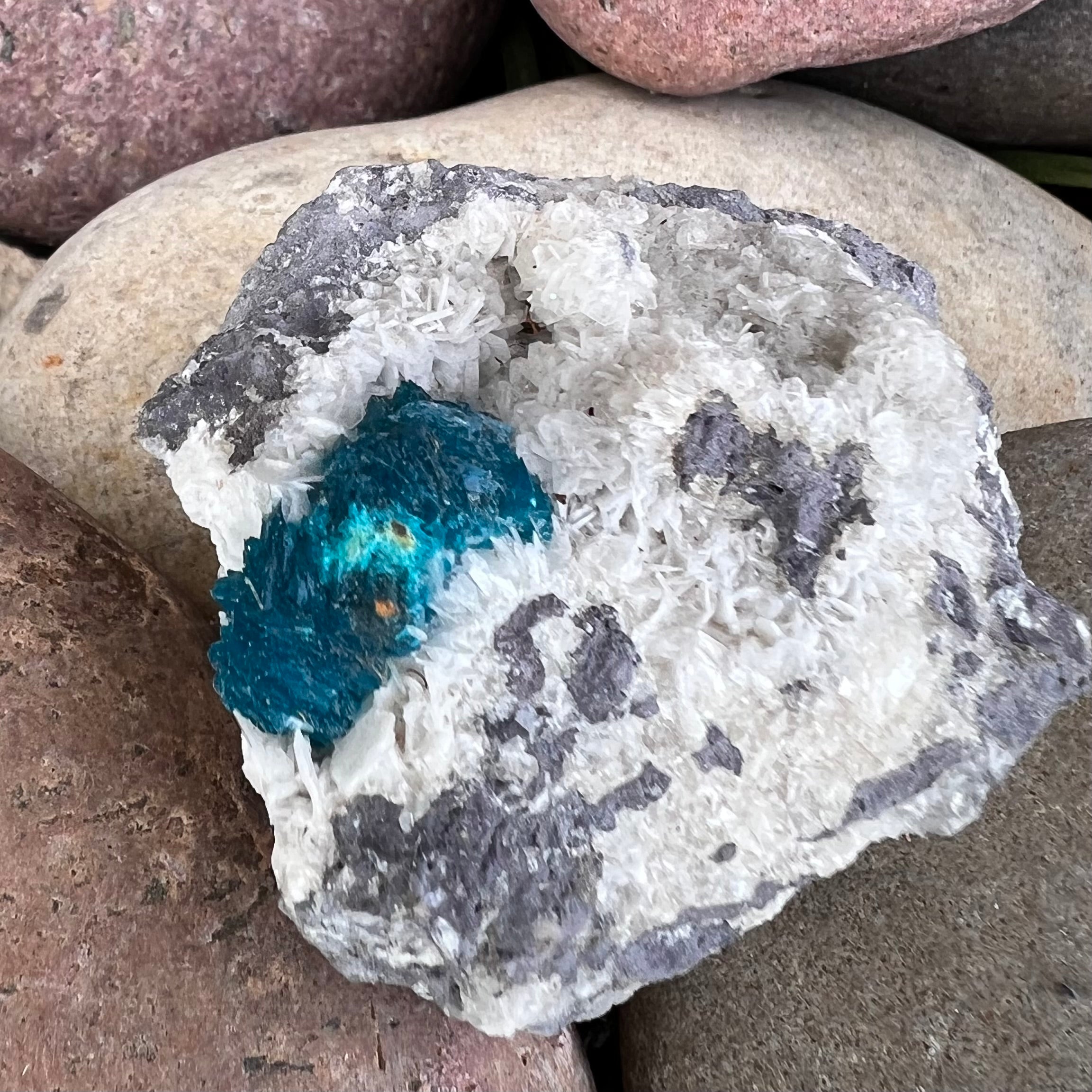 Cavanasite Specimen on Matrix