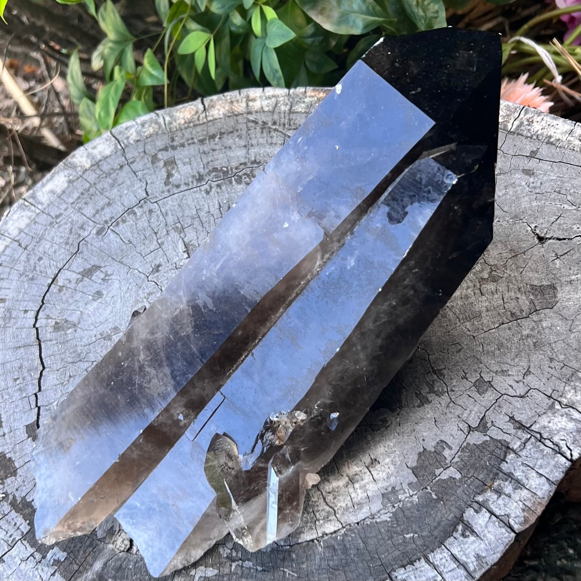 Smoky Quartz Semi Raw Point