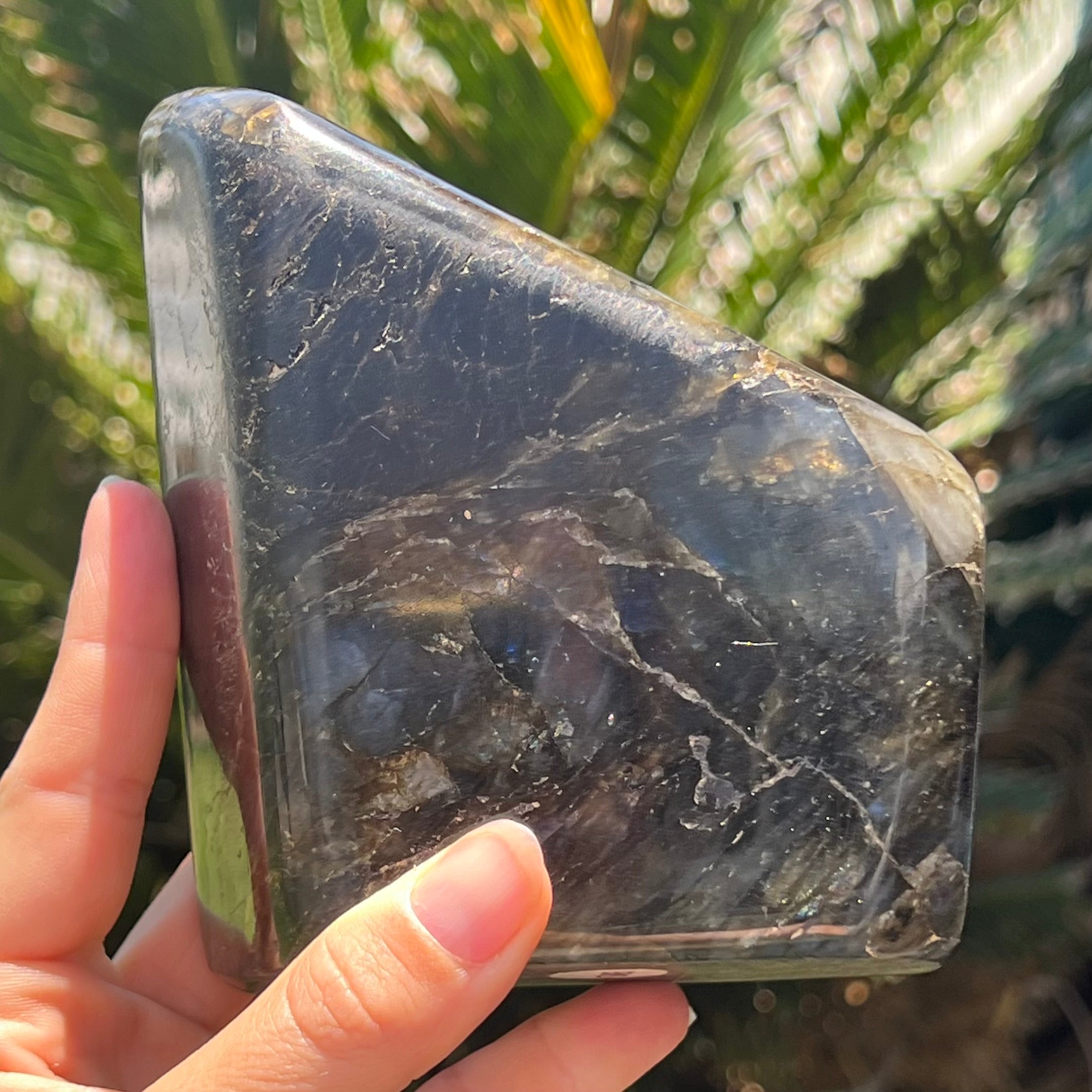 Labradorite Freeform