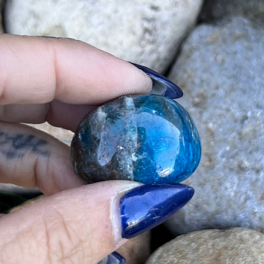 Blue Apatite ~ Specialty Boxed Crystal