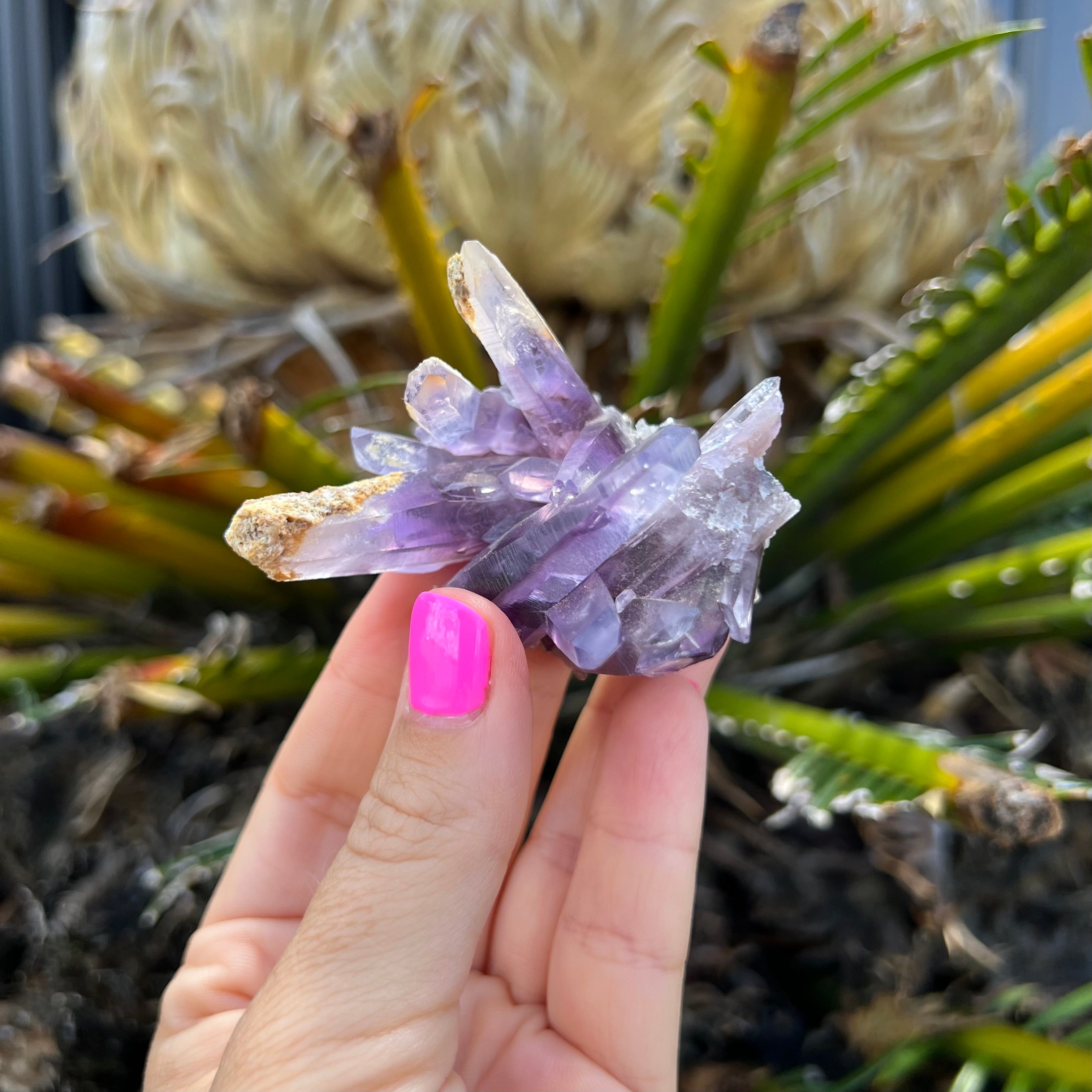 Vera Cruz Amethyst
