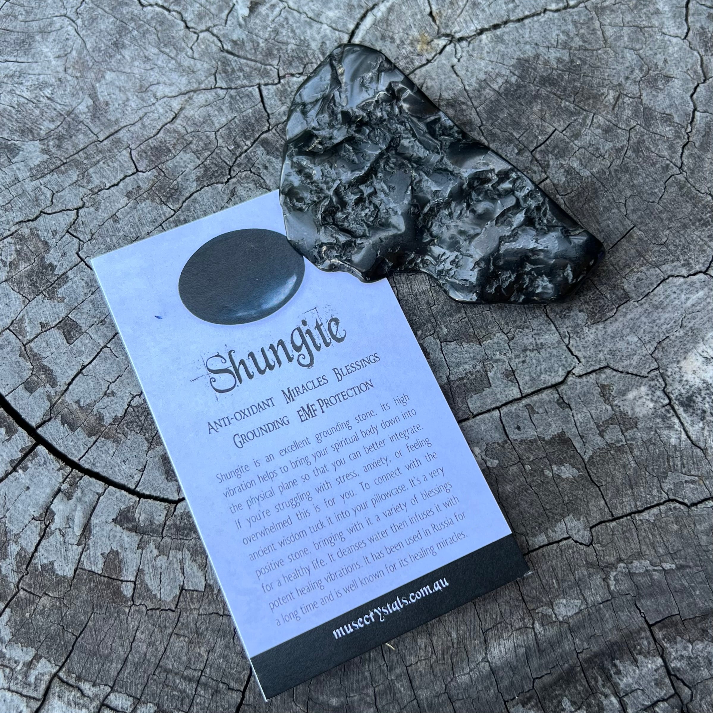 Shungite Piece