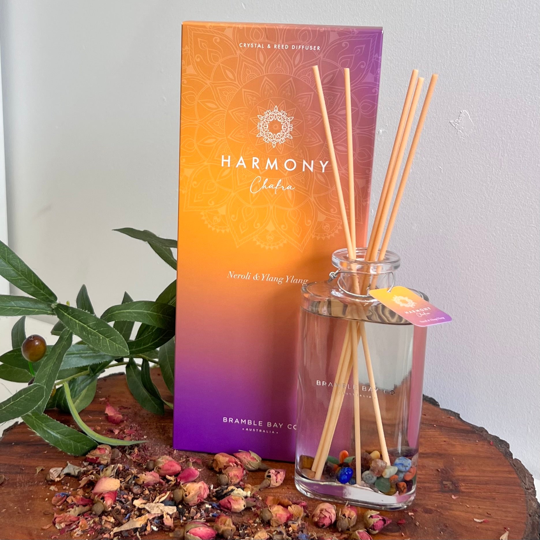 Boho Crystal Harmony Reed Diffuser ~ Chakra ~
Neroli & Ylang Ylang