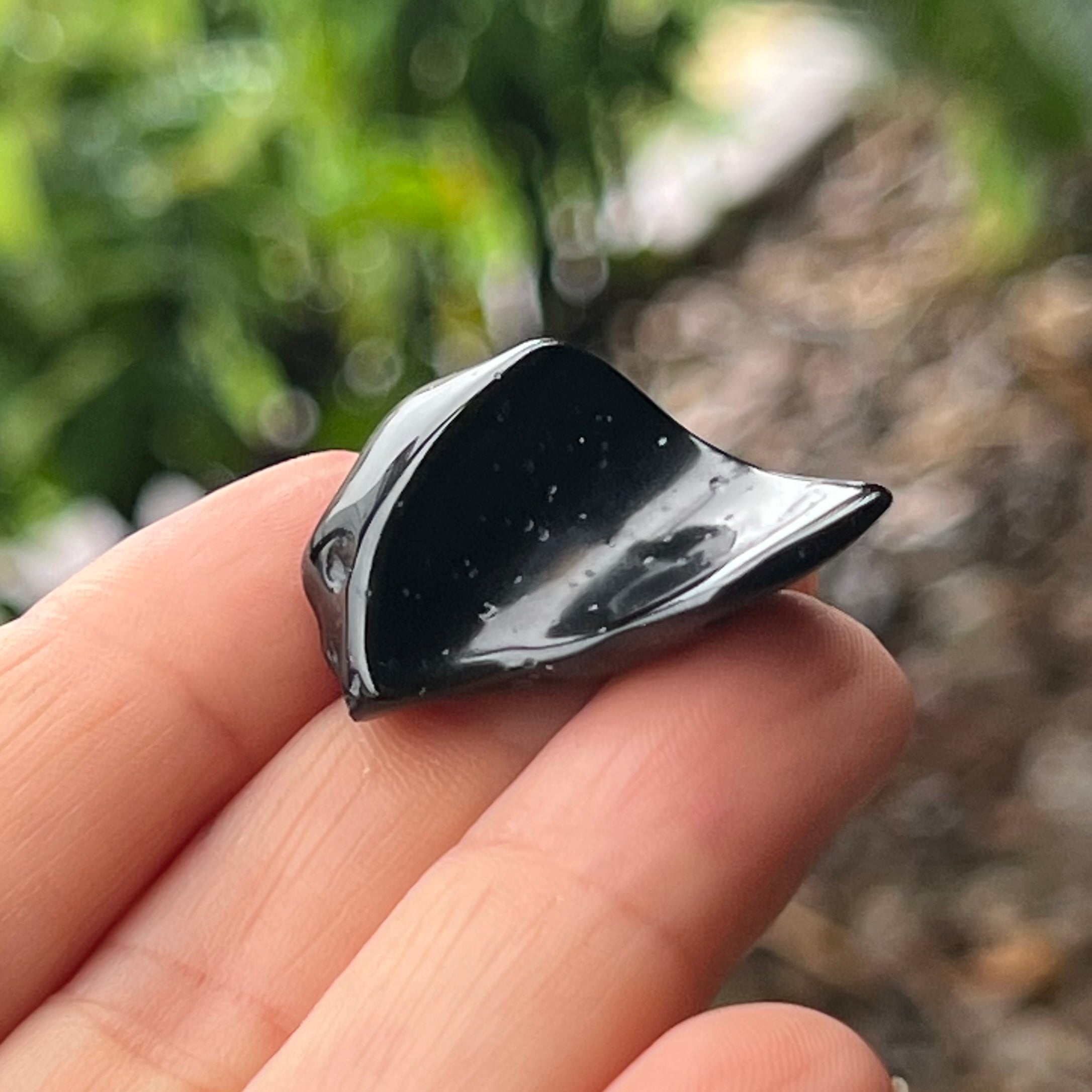 Tektite ~ Specialty Boxed Crystal