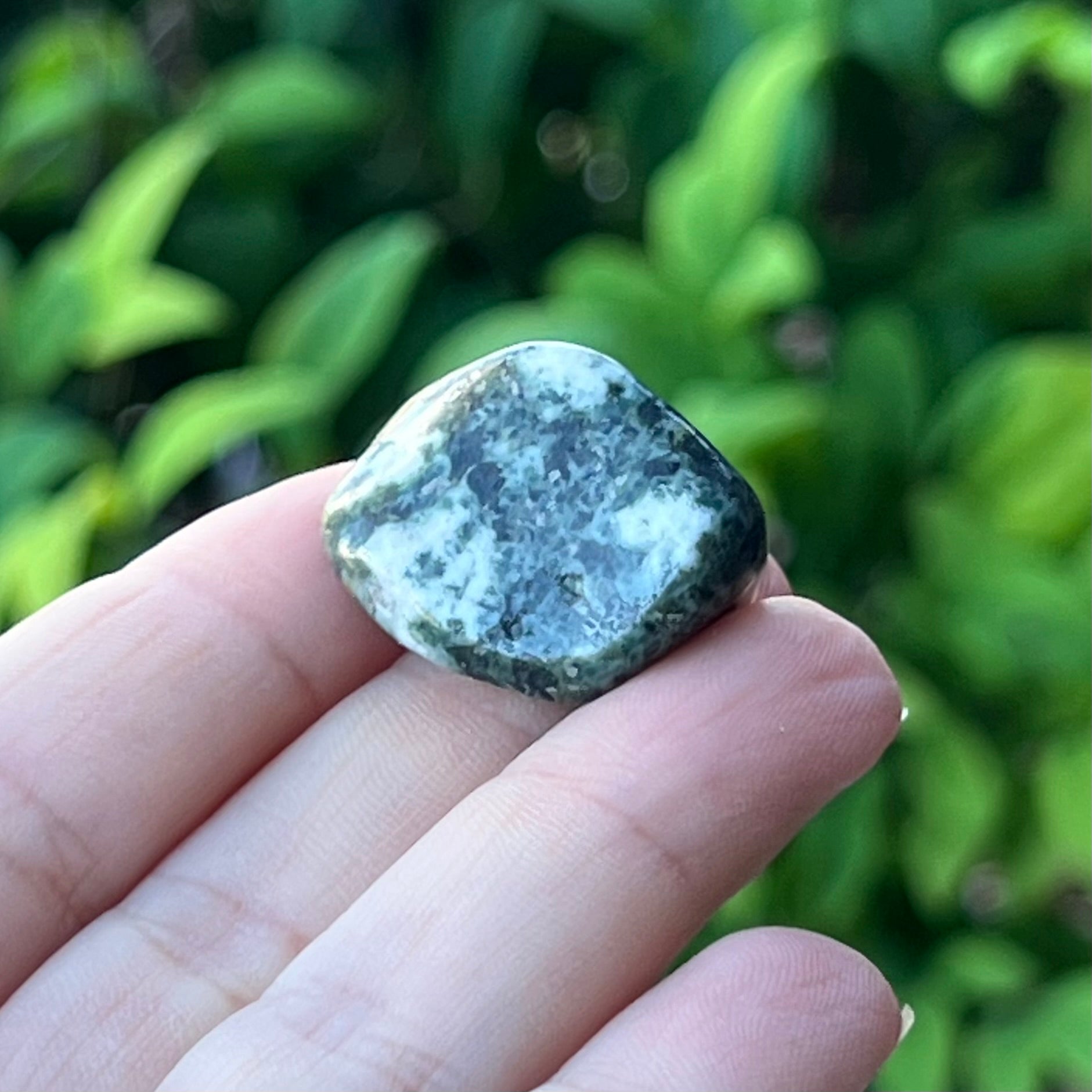 Stonehenge ~ Preseli Stone ~ Specialty Boxed Crystal