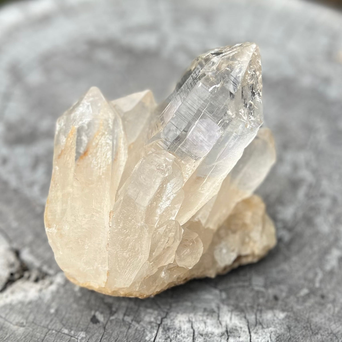 Clear Quartz Cluster