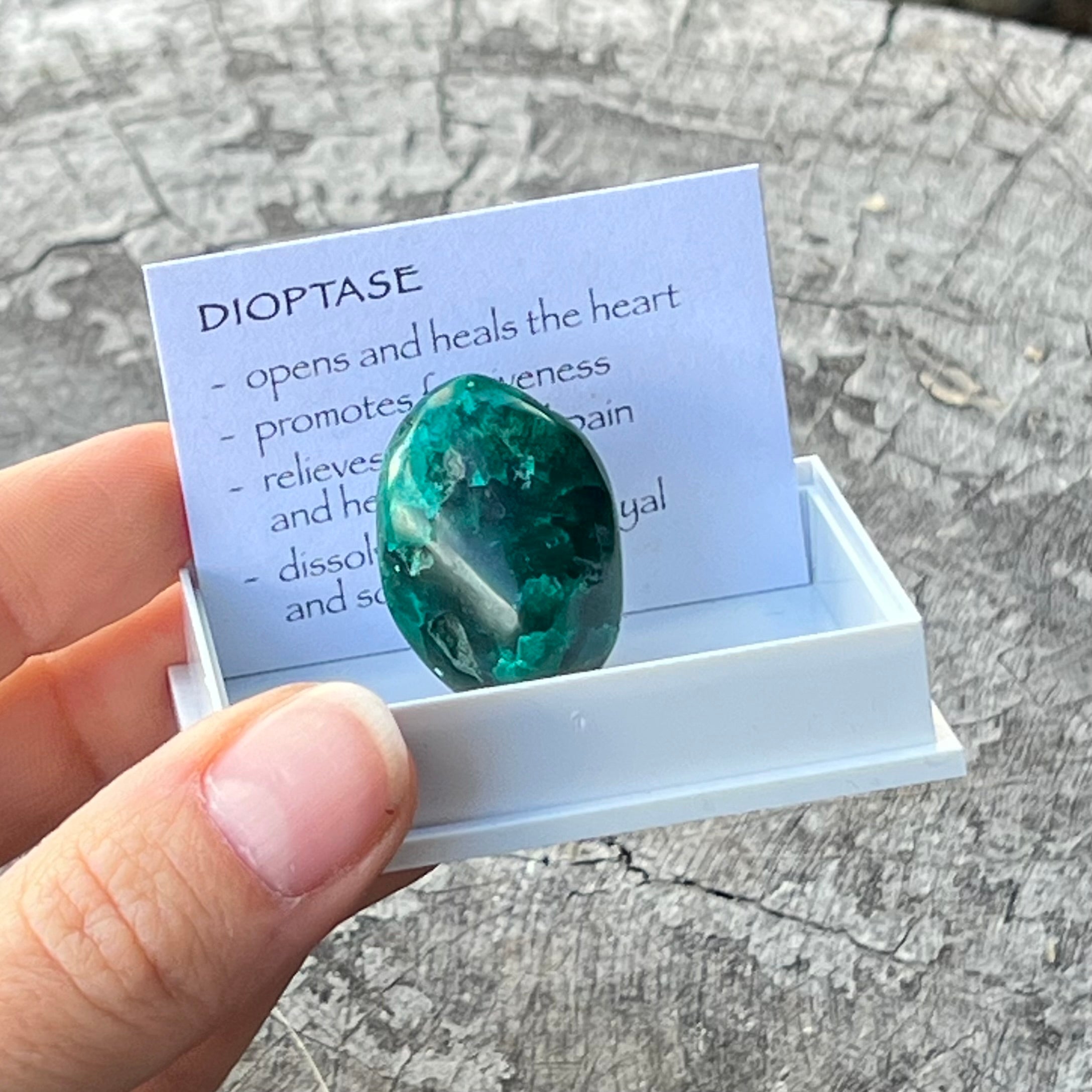 Dioptase ~ Specialty Boxed Crystal
