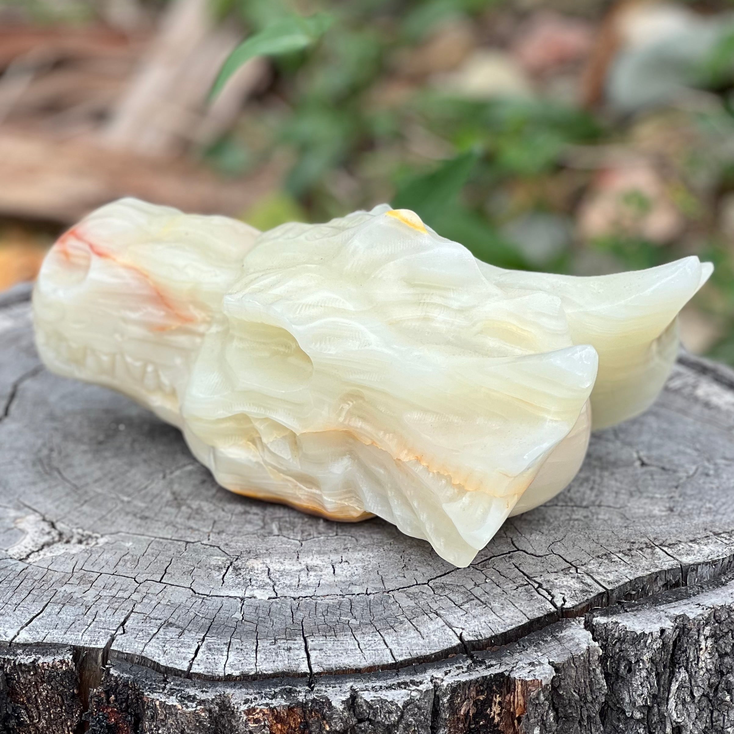 Afghanistan Jade Dragon Head Carving