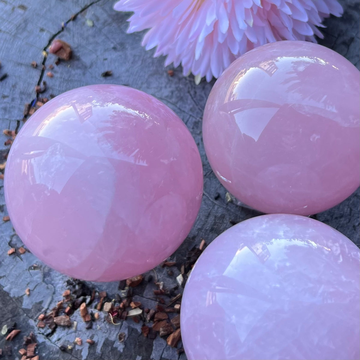 Shop Rose Quartz Medium Generator Tower | Muse Crystals & Mystical Gifts