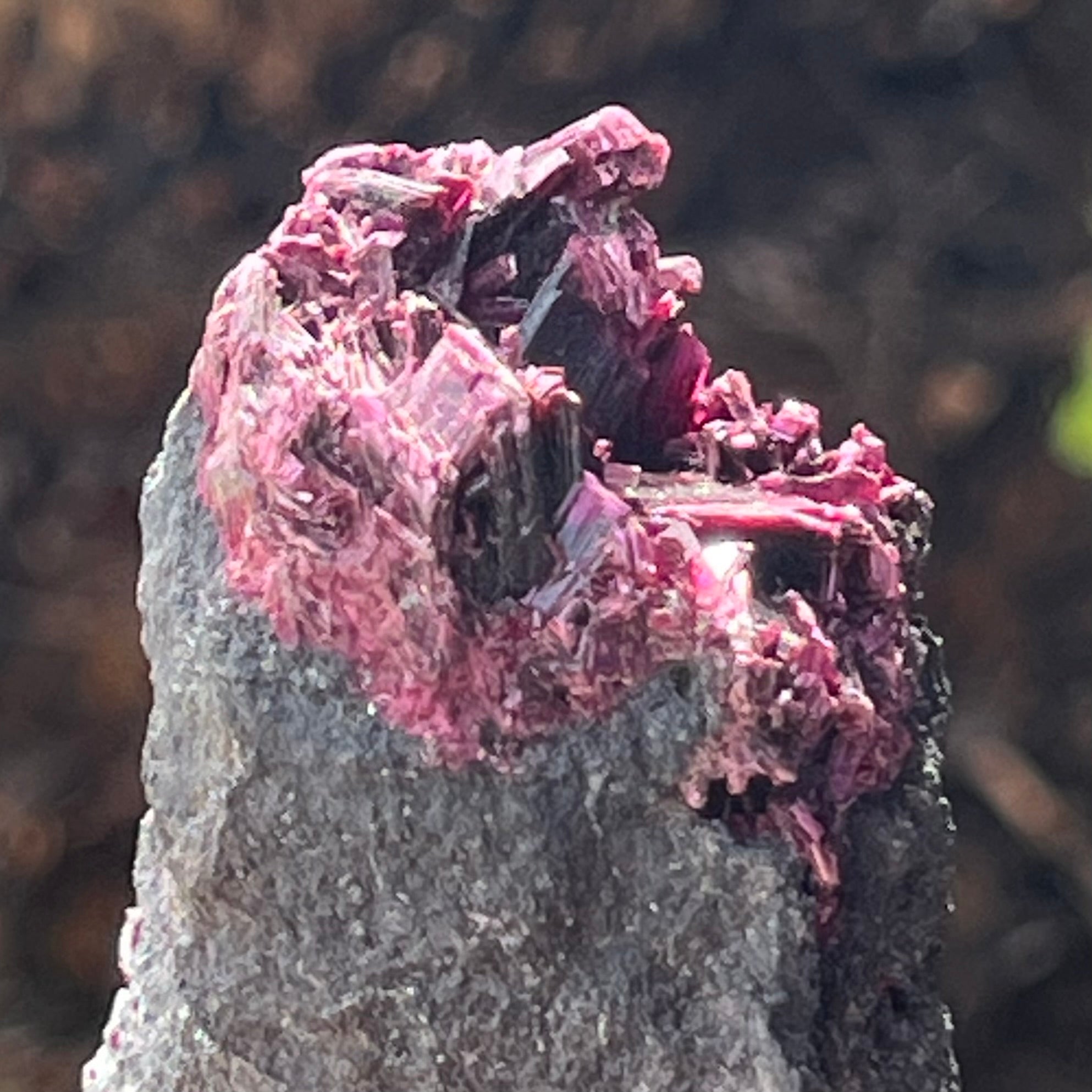 Red Cabalton Etherite ~ Vivianite From Marocco