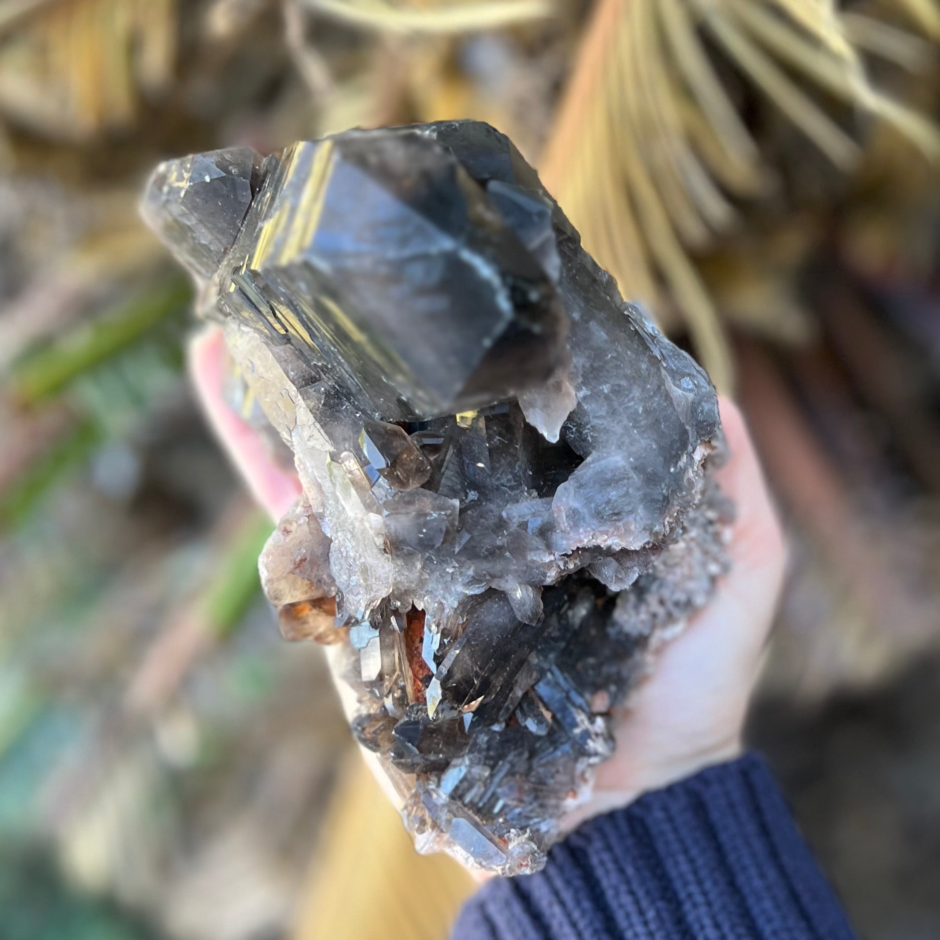 Specular Smokey Quartz Cluster